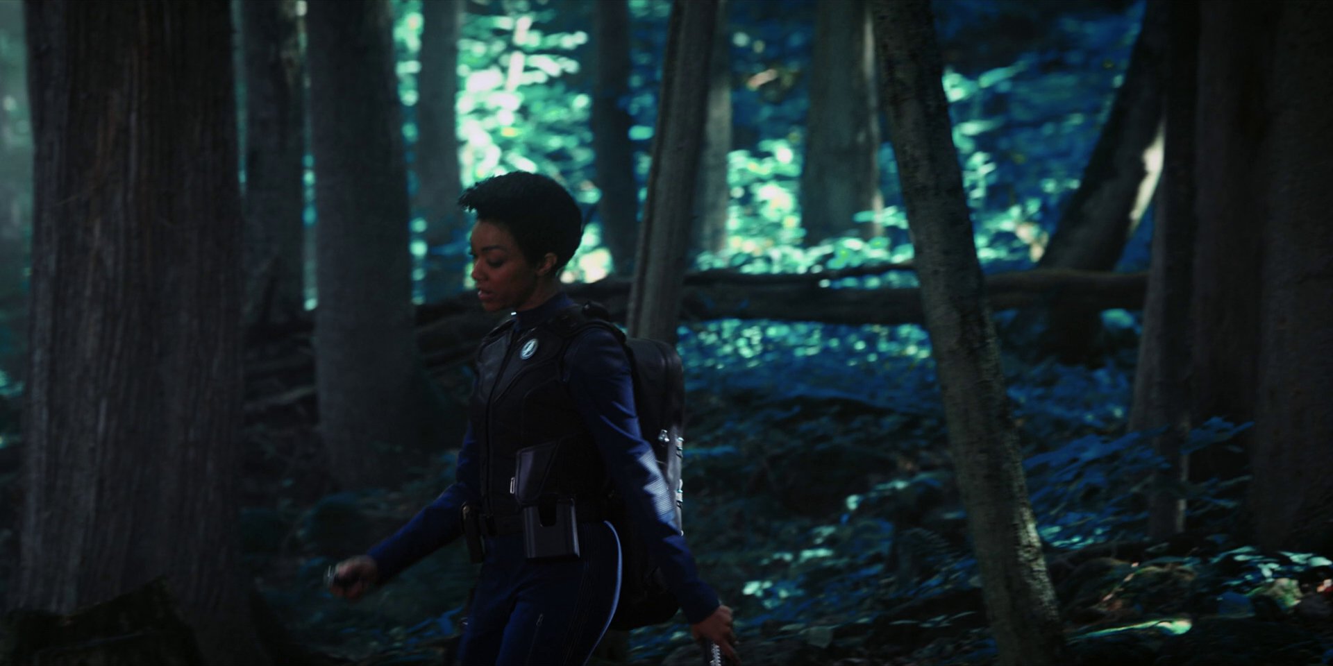 extant_StarTrekDiscovery_1x08-SiVisPacemParaBellum_0890.jpg