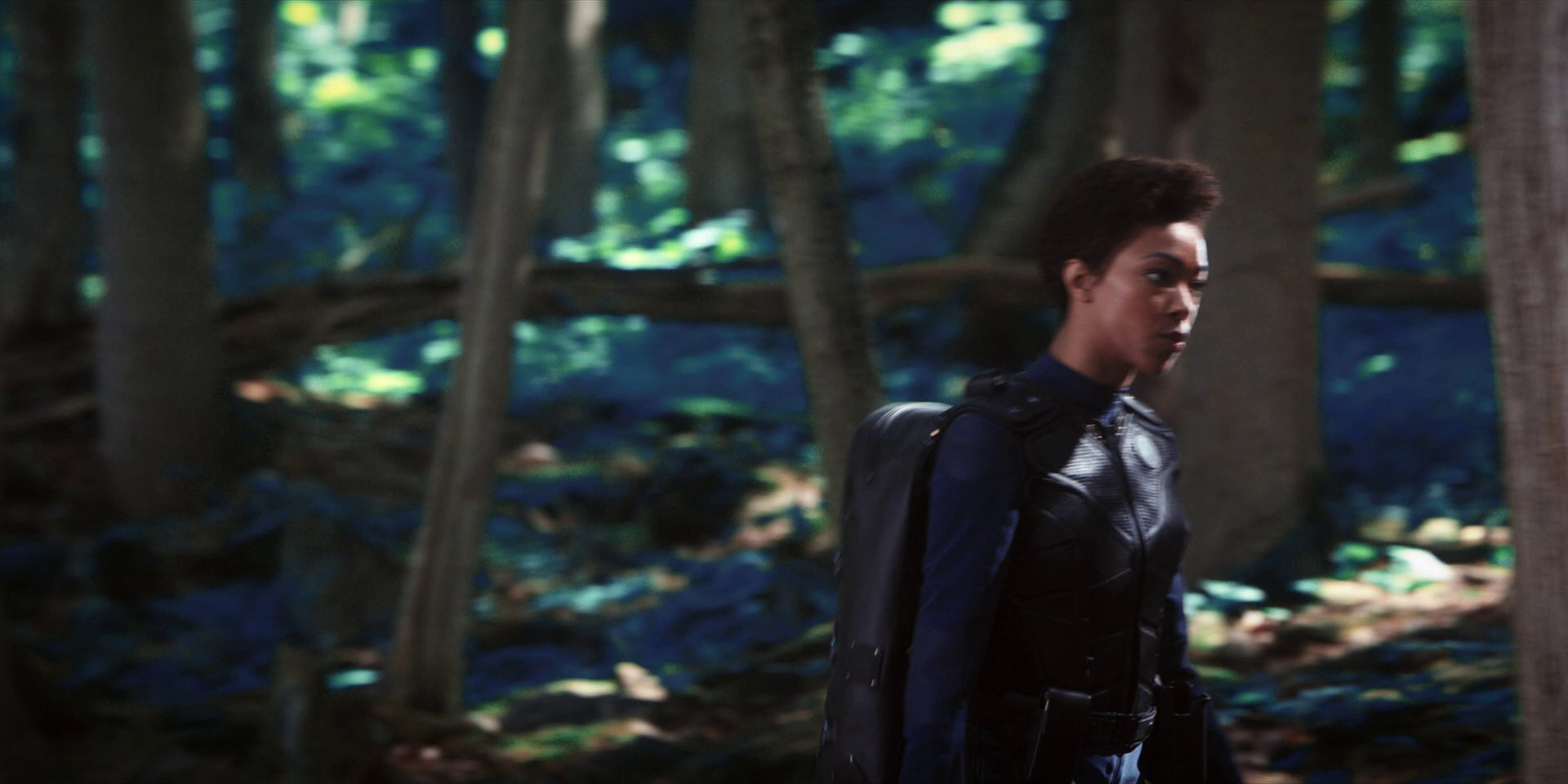 extant_StarTrekDiscovery_1x08-SiVisPacemParaBellum_0901.jpg