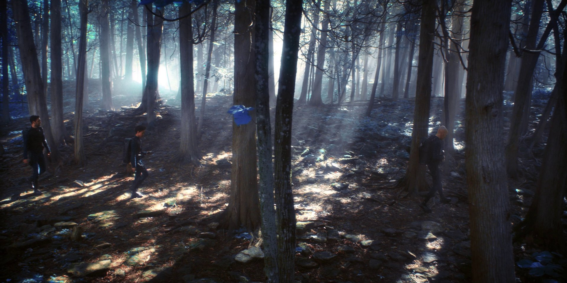extant_StarTrekDiscovery_1x08-SiVisPacemParaBellum_0904.jpg