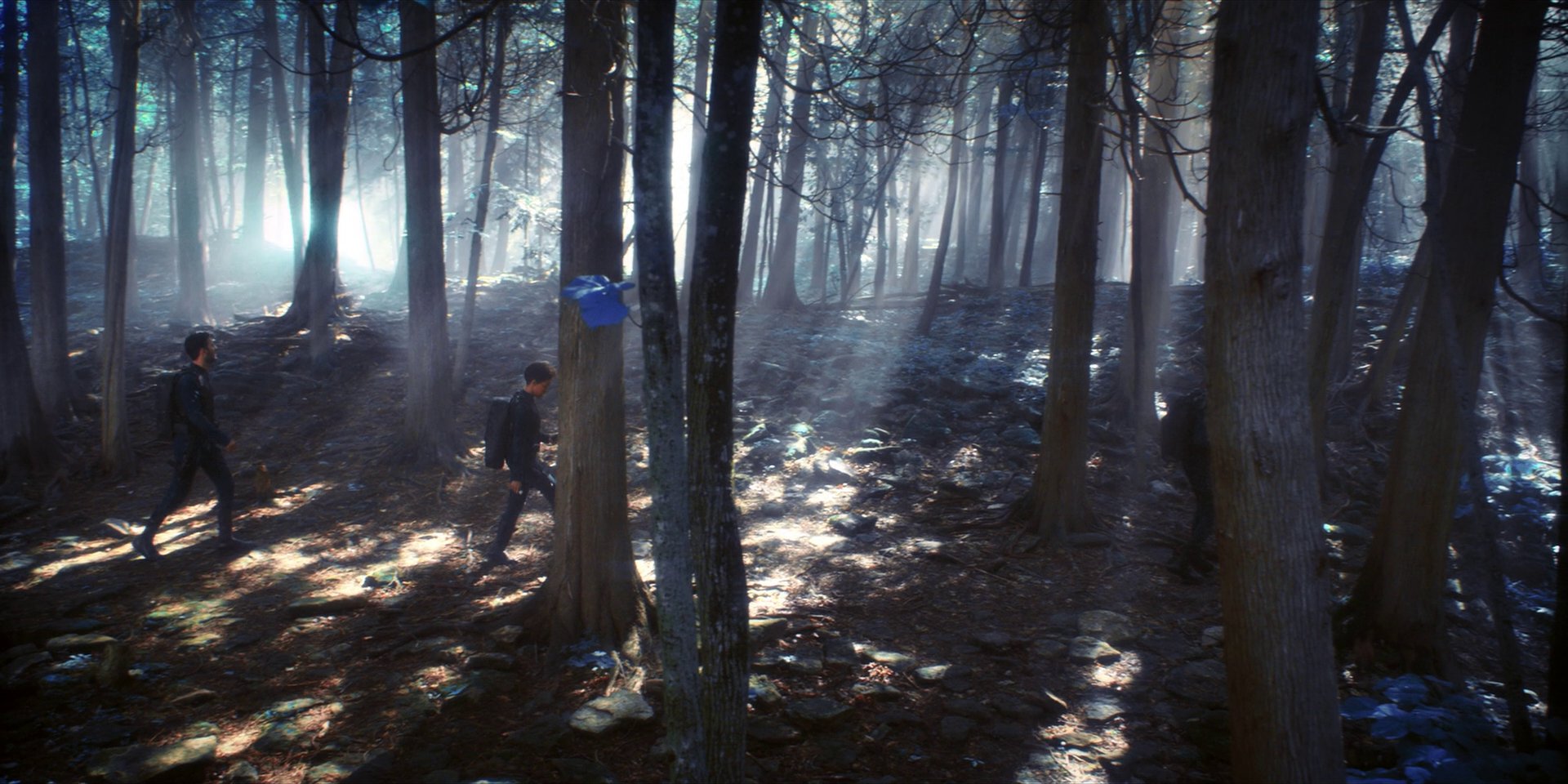 extant_StarTrekDiscovery_1x08-SiVisPacemParaBellum_0907.jpg