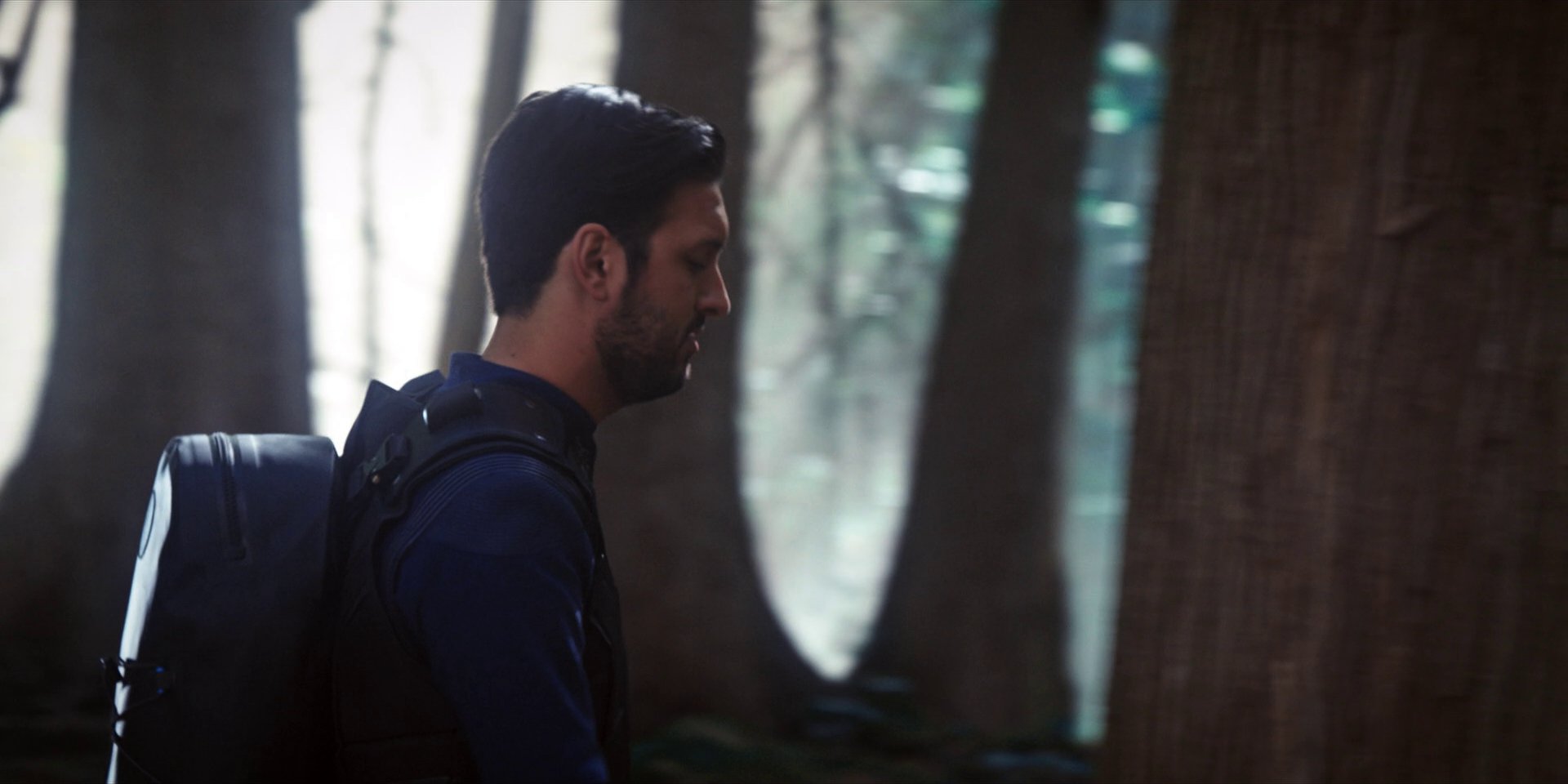 extant_StarTrekDiscovery_1x08-SiVisPacemParaBellum_0908.jpg