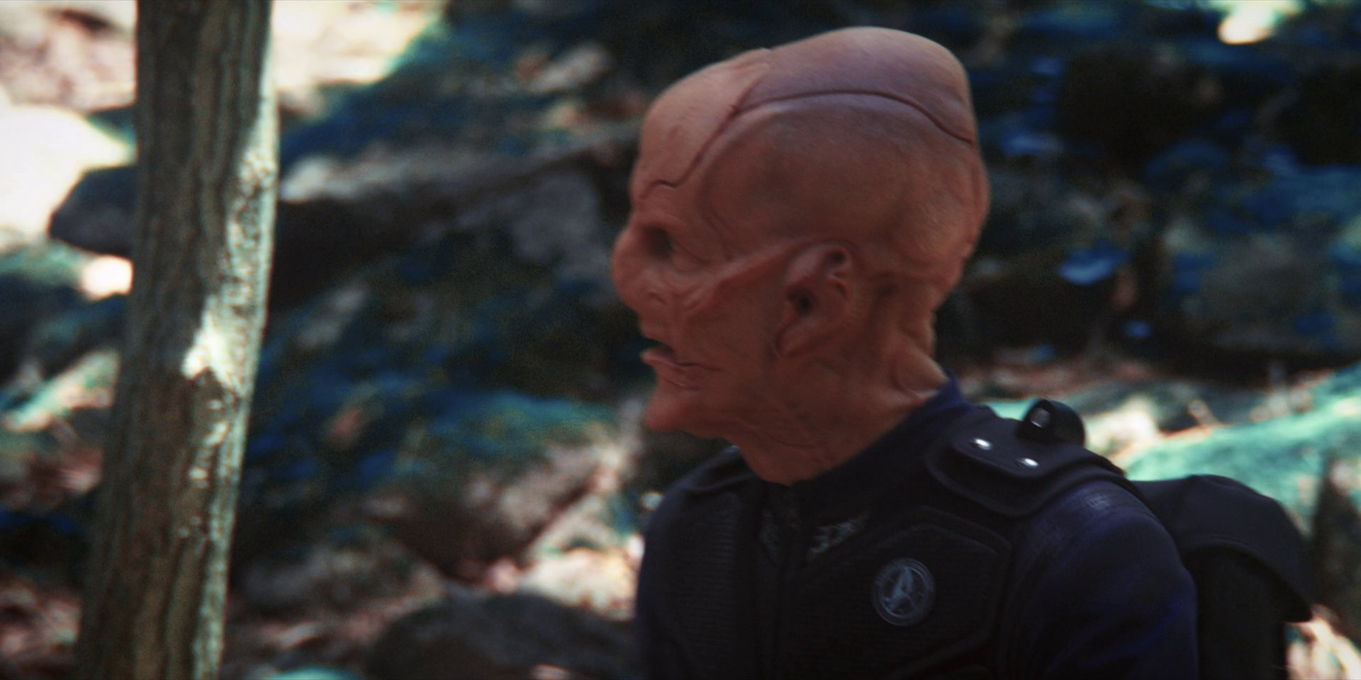 extant_StarTrekDiscovery_1x08-SiVisPacemParaBellum_0918.jpg