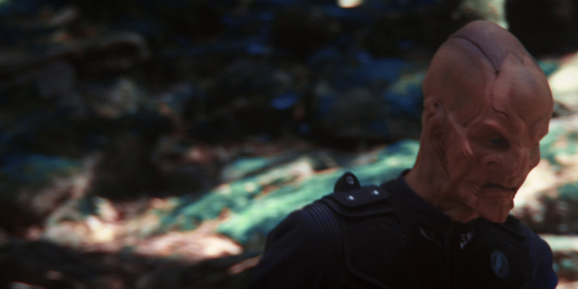 extant_StarTrekDiscovery_1x08-SiVisPacemParaBellum_0921.jpg