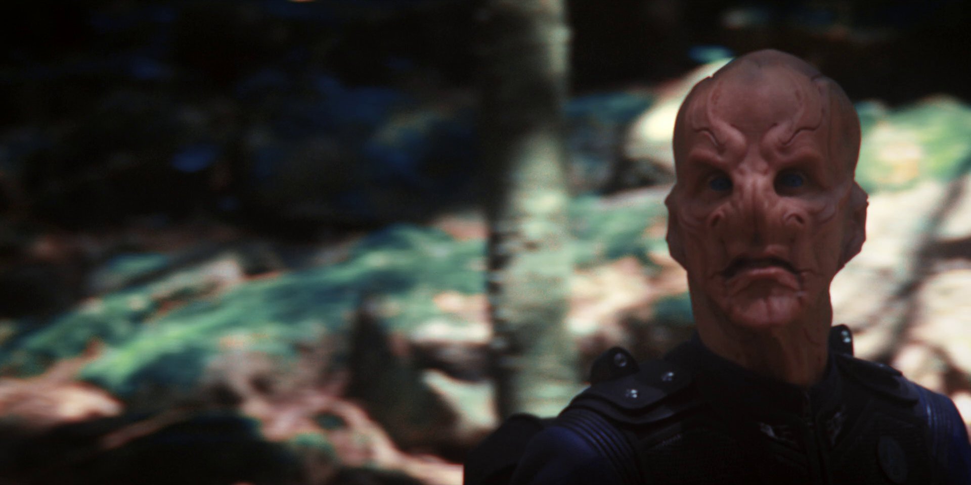 extant_StarTrekDiscovery_1x08-SiVisPacemParaBellum_0922.jpg