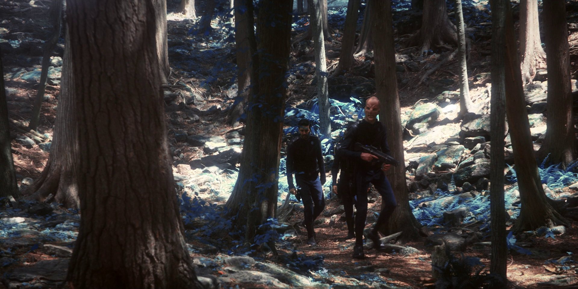 extant_StarTrekDiscovery_1x08-SiVisPacemParaBellum_0923.jpg
