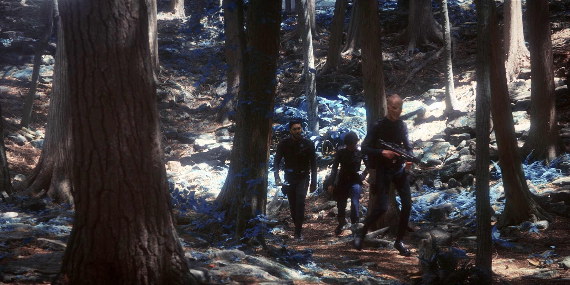 extant_StarTrekDiscovery_1x08-SiVisPacemParaBellum_0924.jpg