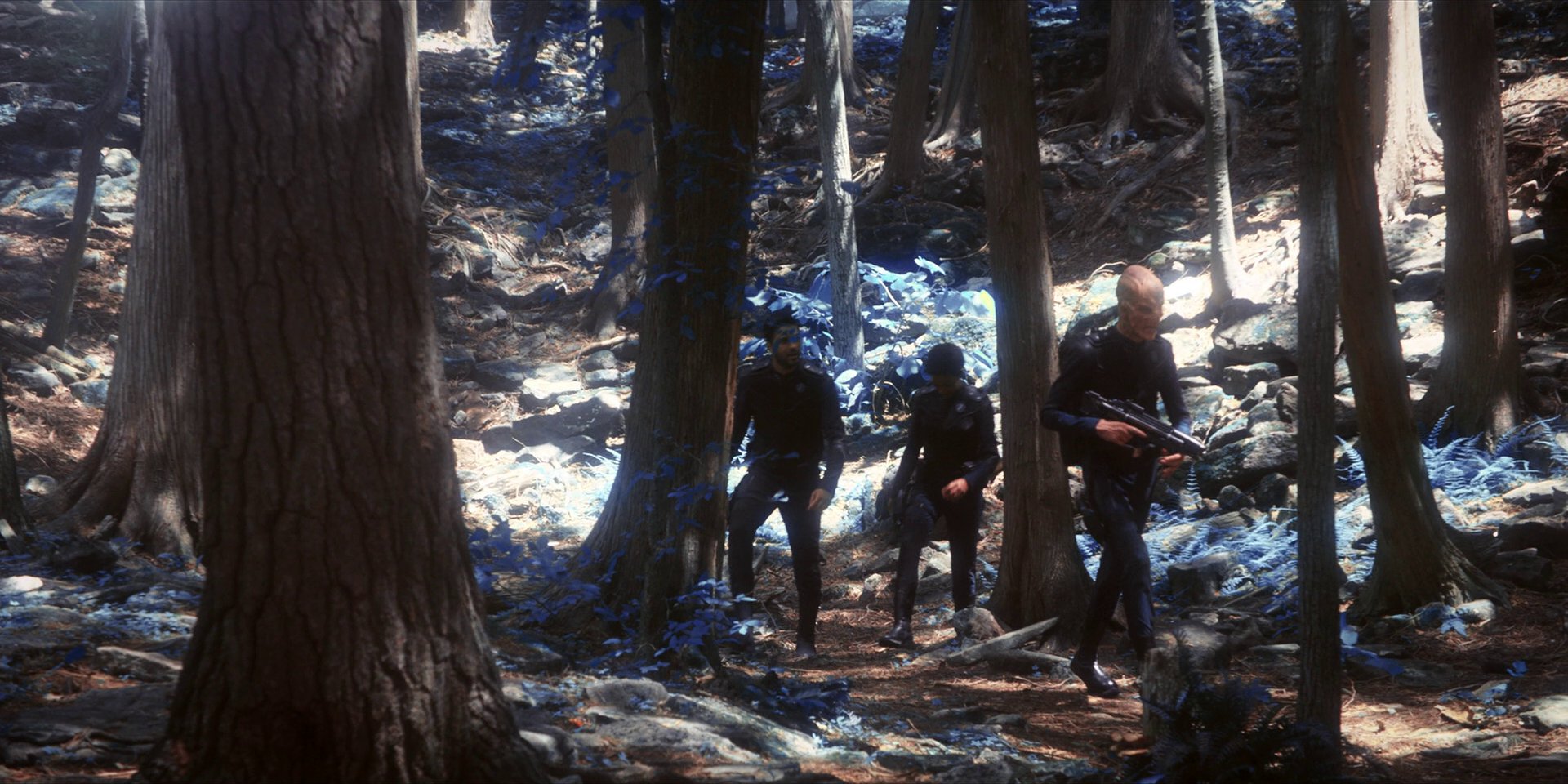 extant_StarTrekDiscovery_1x08-SiVisPacemParaBellum_0925.jpg