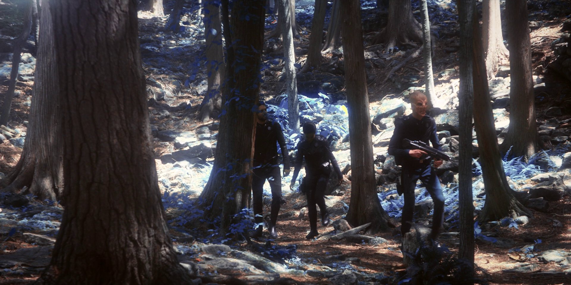 extant_StarTrekDiscovery_1x08-SiVisPacemParaBellum_0926.jpg