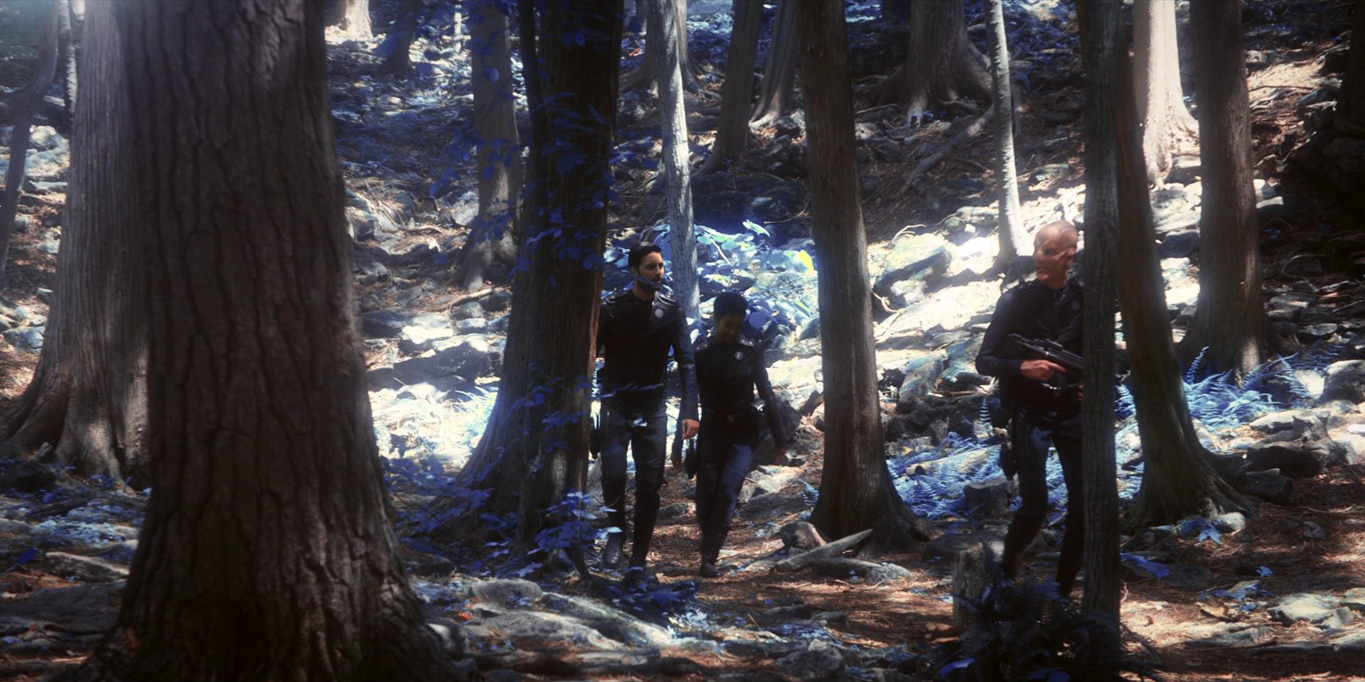 extant_StarTrekDiscovery_1x08-SiVisPacemParaBellum_0927.jpg