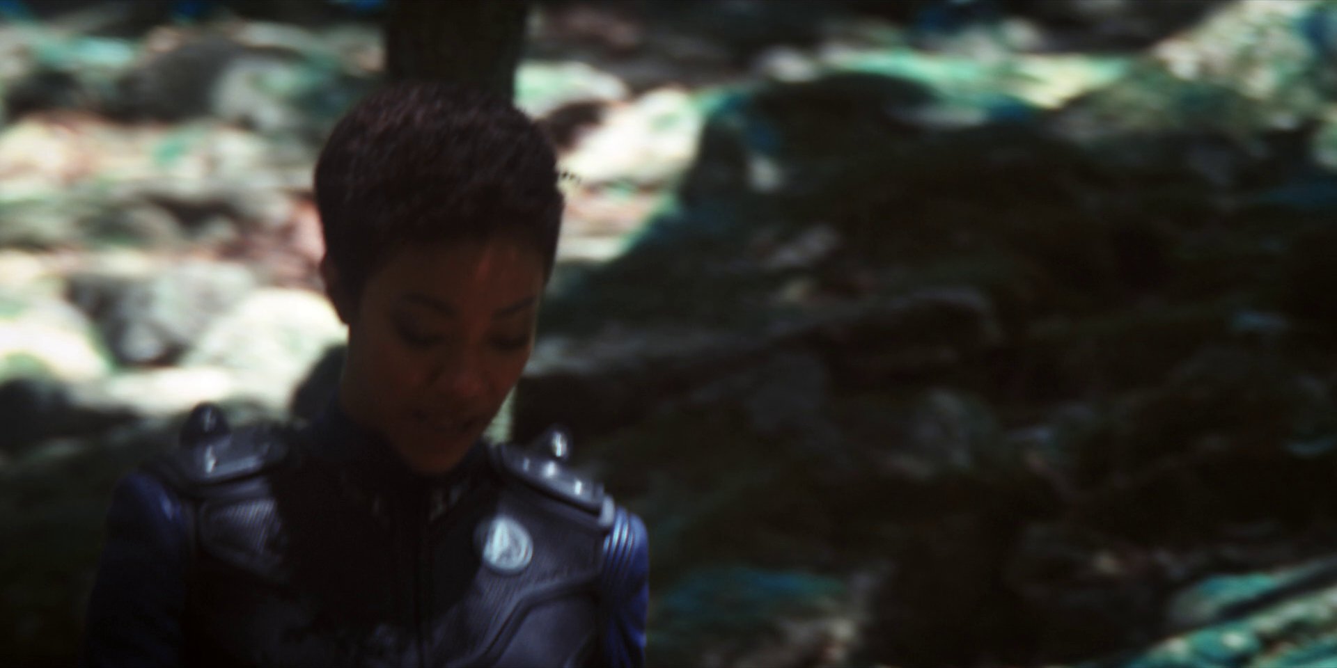 extant_StarTrekDiscovery_1x08-SiVisPacemParaBellum_0929.jpg