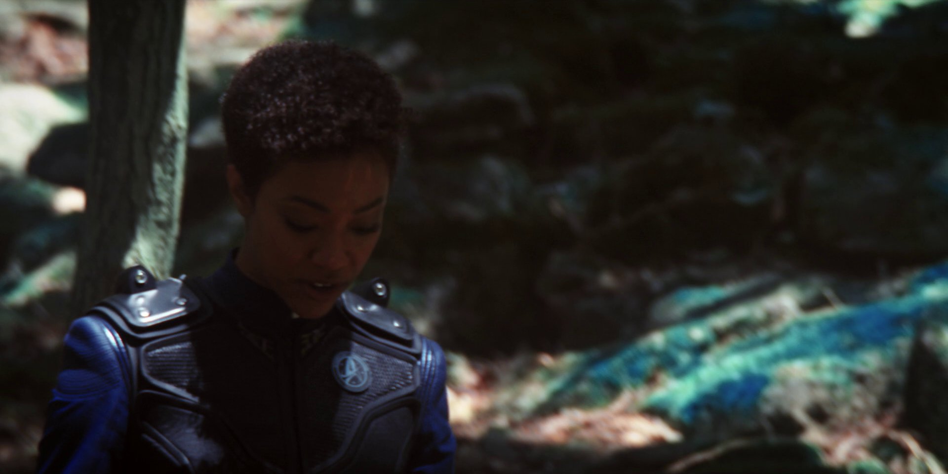 extant_StarTrekDiscovery_1x08-SiVisPacemParaBellum_0930.jpg