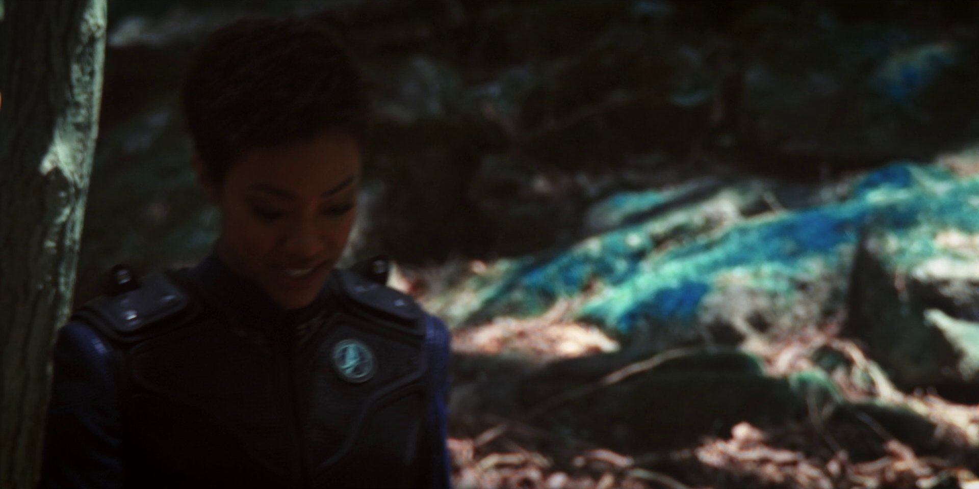 extant_StarTrekDiscovery_1x08-SiVisPacemParaBellum_0931.jpg