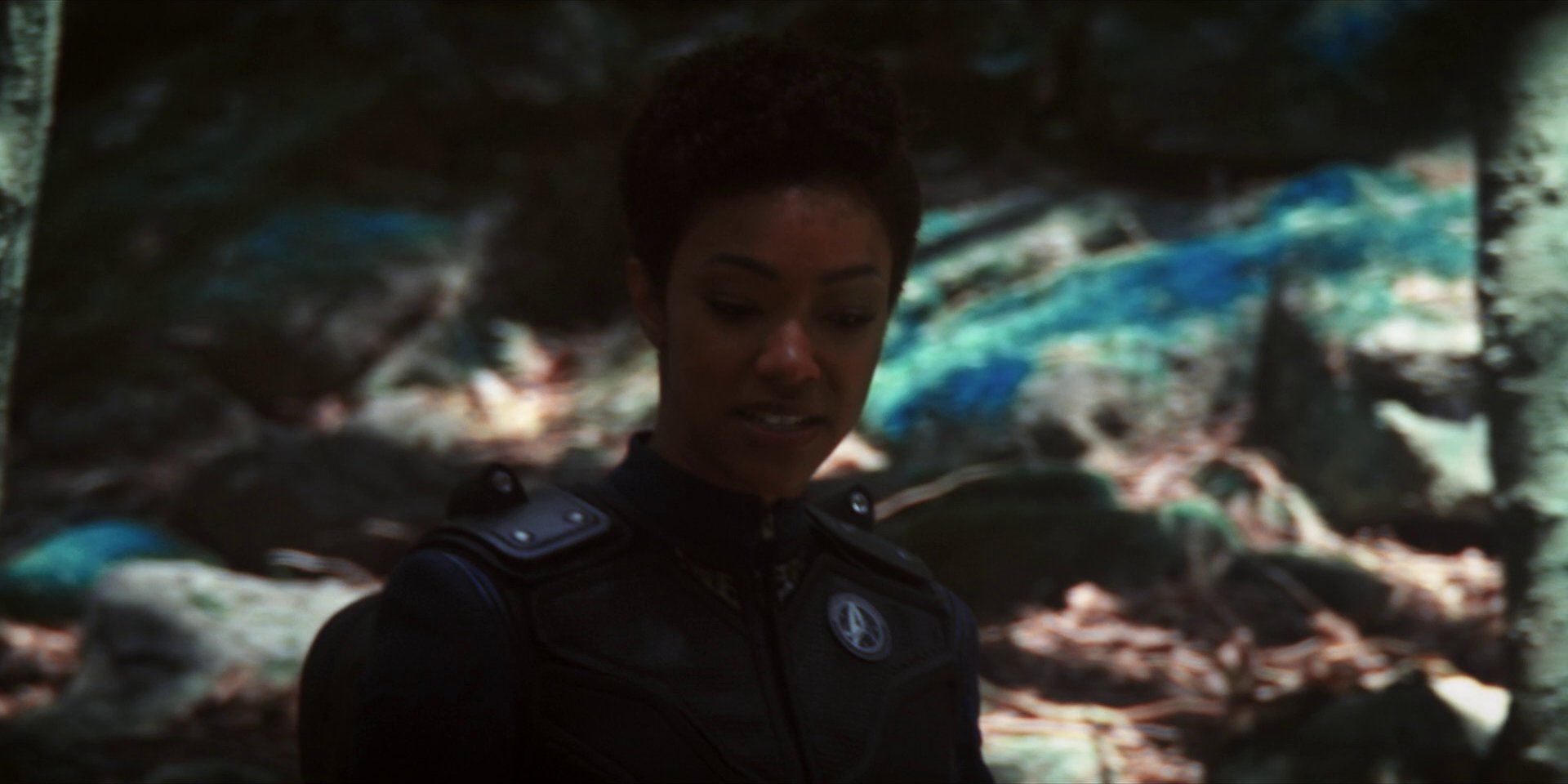 extant_StarTrekDiscovery_1x08-SiVisPacemParaBellum_0932.jpg