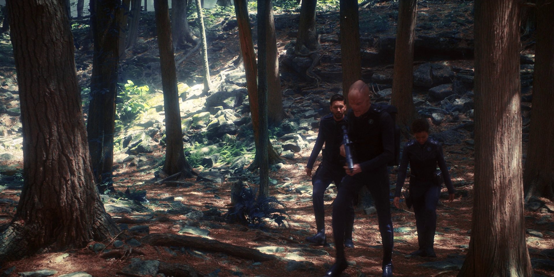 extant_StarTrekDiscovery_1x08-SiVisPacemParaBellum_0942.jpg