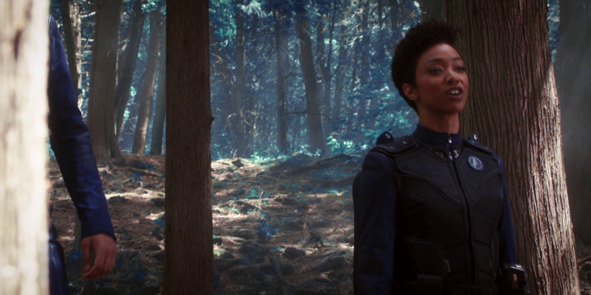 extant_StarTrekDiscovery_1x08-SiVisPacemParaBellum_0950.jpg