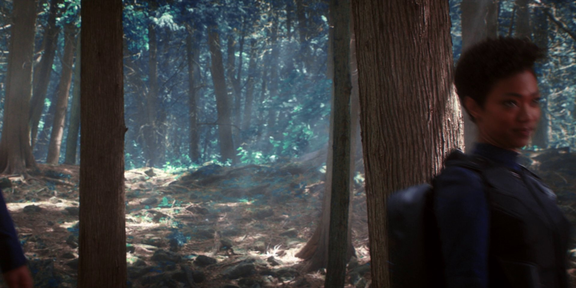 extant_StarTrekDiscovery_1x08-SiVisPacemParaBellum_0952.jpg