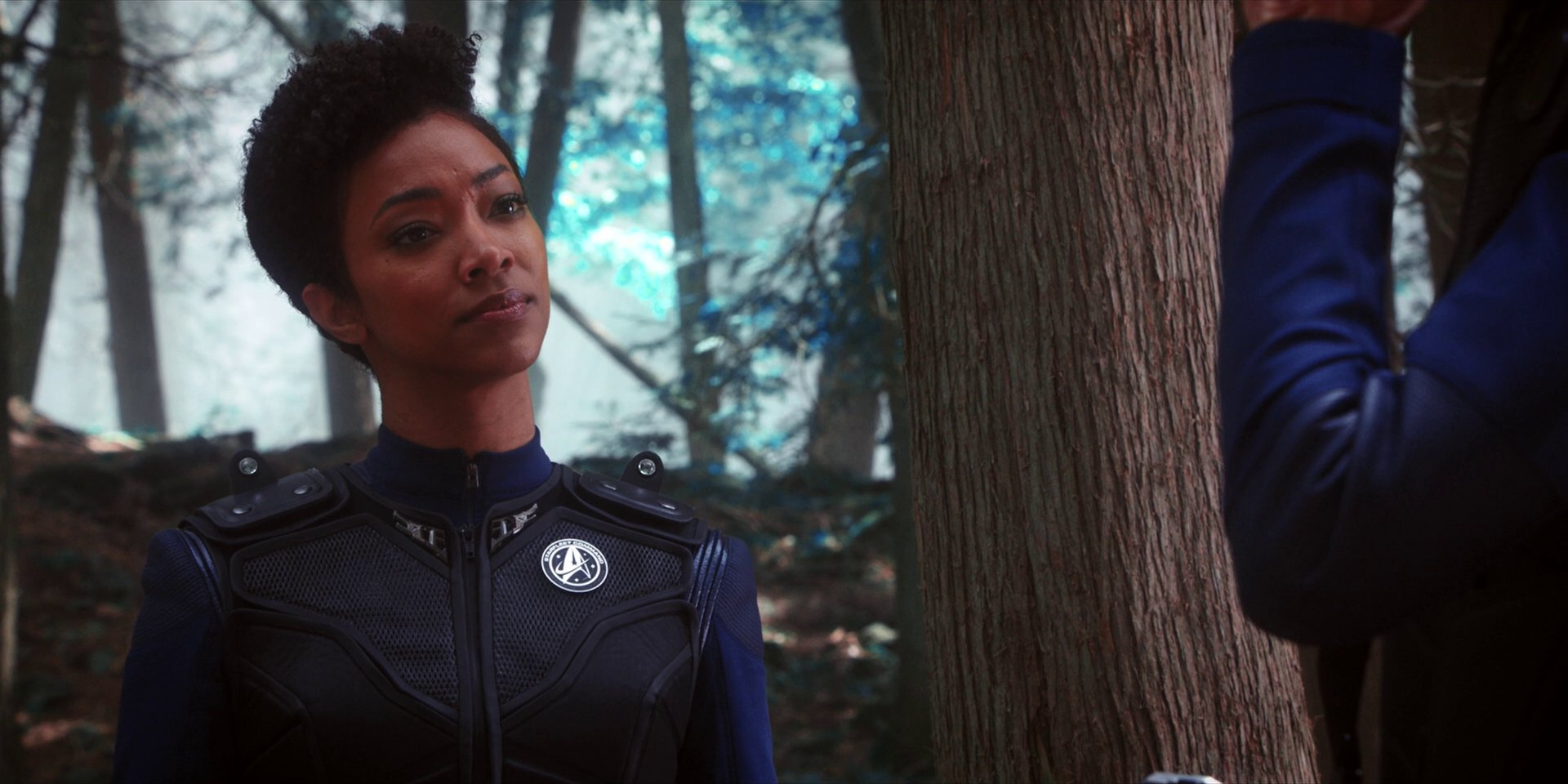 extant_StarTrekDiscovery_1x08-SiVisPacemParaBellum_0972.jpg