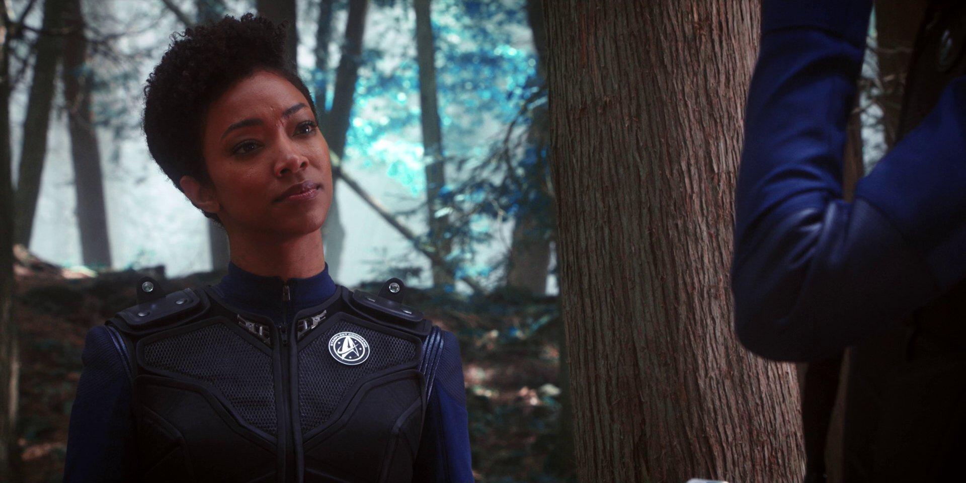 extant_StarTrekDiscovery_1x08-SiVisPacemParaBellum_0973.jpg