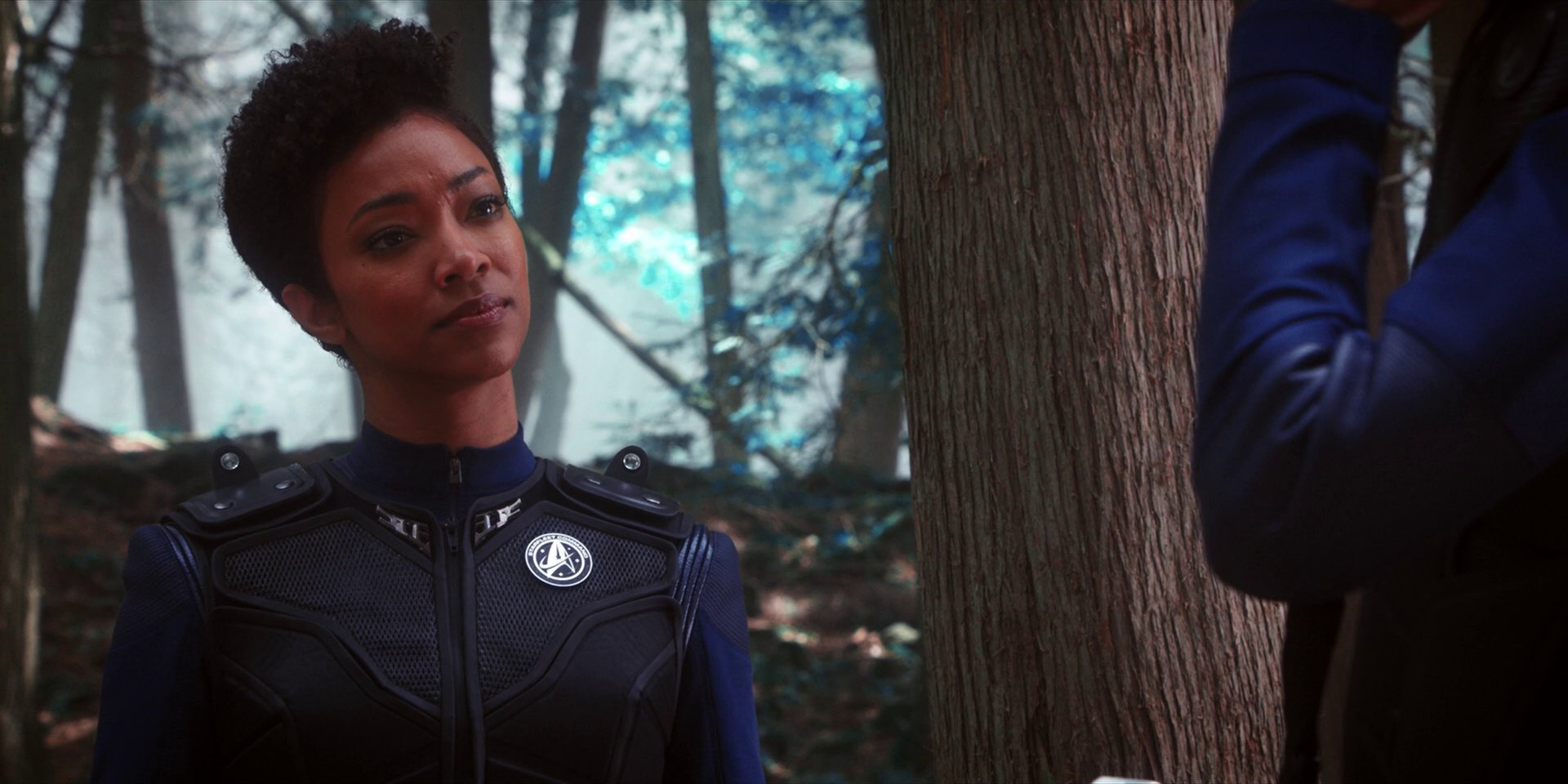 extant_StarTrekDiscovery_1x08-SiVisPacemParaBellum_0974.jpg