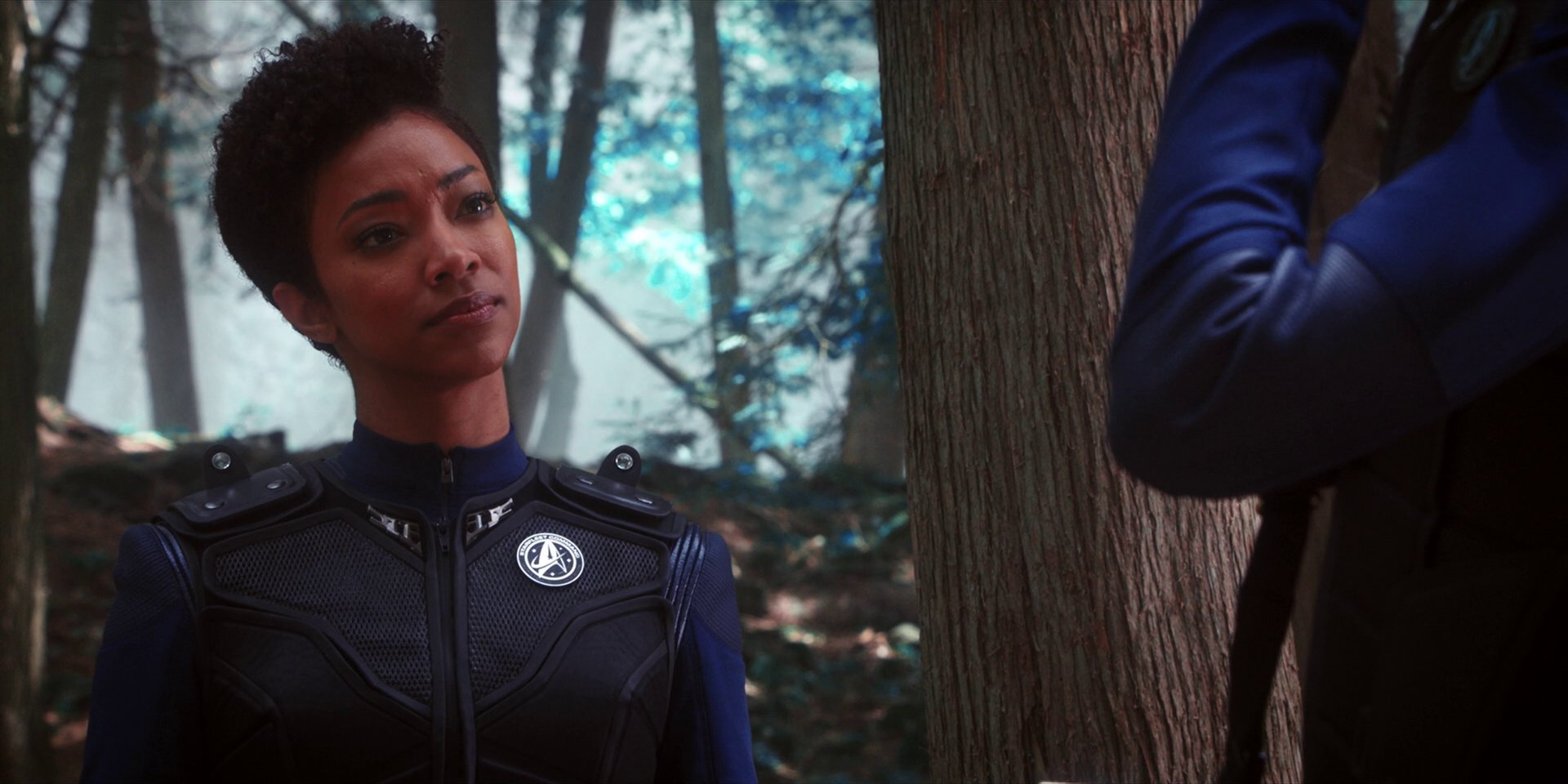 extant_StarTrekDiscovery_1x08-SiVisPacemParaBellum_0975.jpg