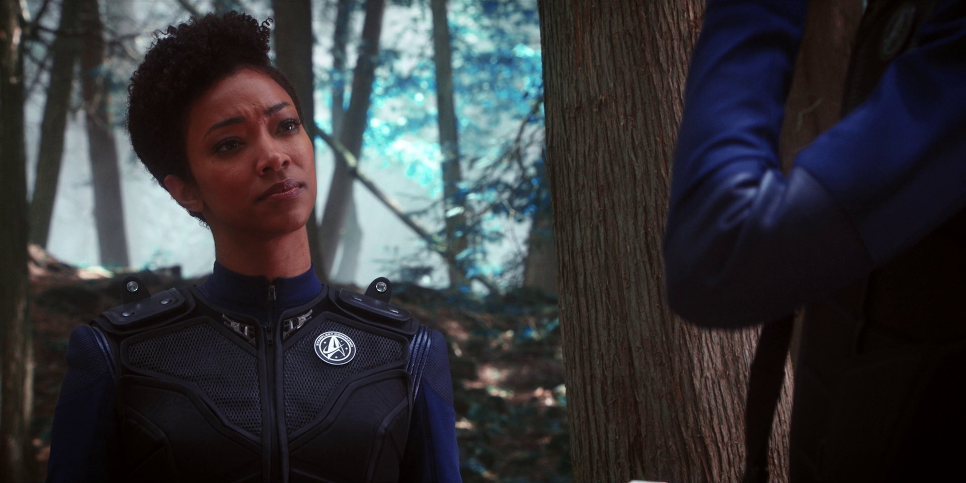extant_StarTrekDiscovery_1x08-SiVisPacemParaBellum_0976.jpg