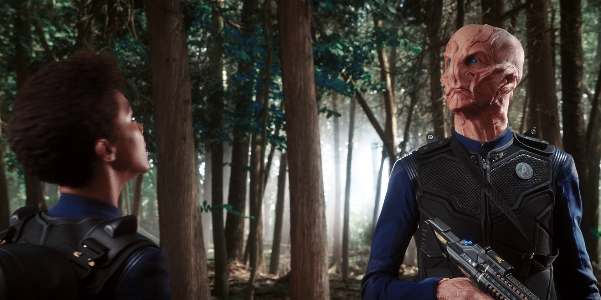 extant_StarTrekDiscovery_1x08-SiVisPacemParaBellum_0982.jpg