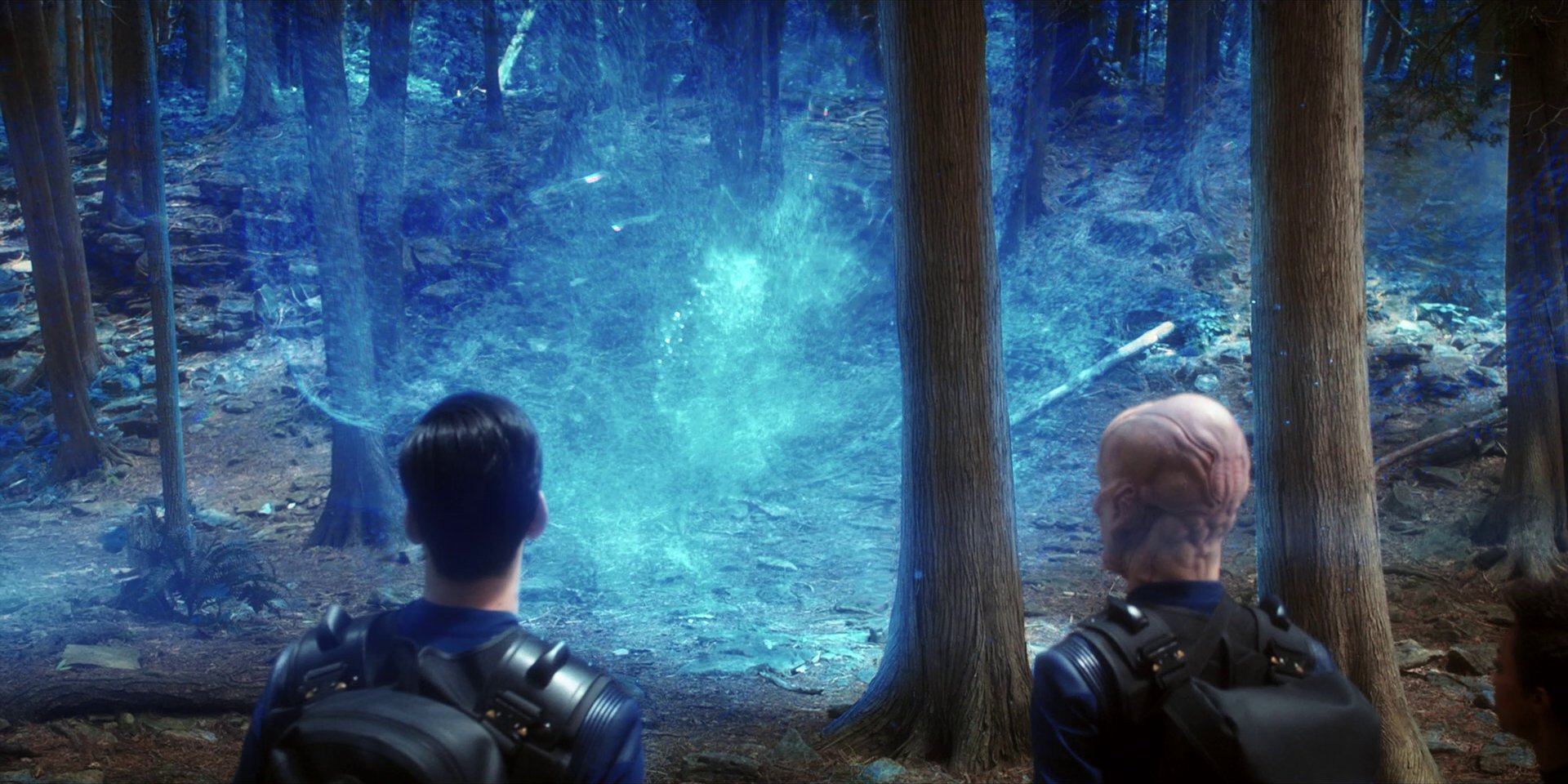 extant_StarTrekDiscovery_1x08-SiVisPacemParaBellum_0996.jpg