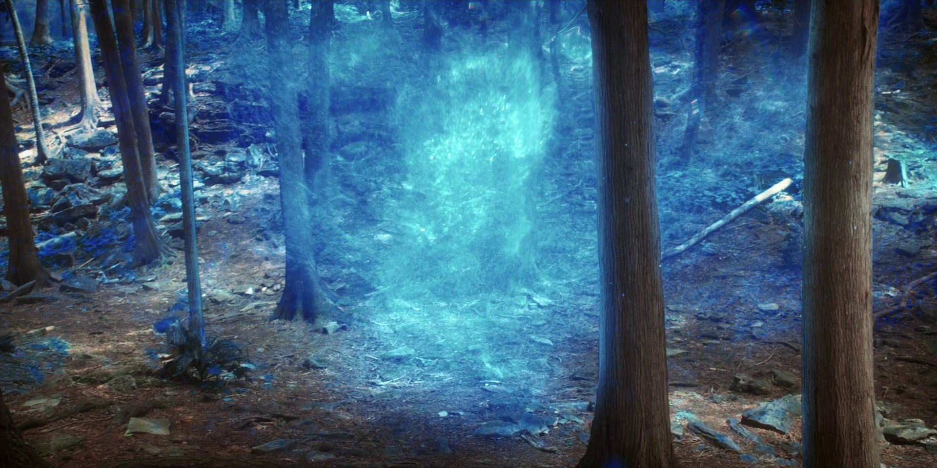 extant_StarTrekDiscovery_1x08-SiVisPacemParaBellum_1001.jpg