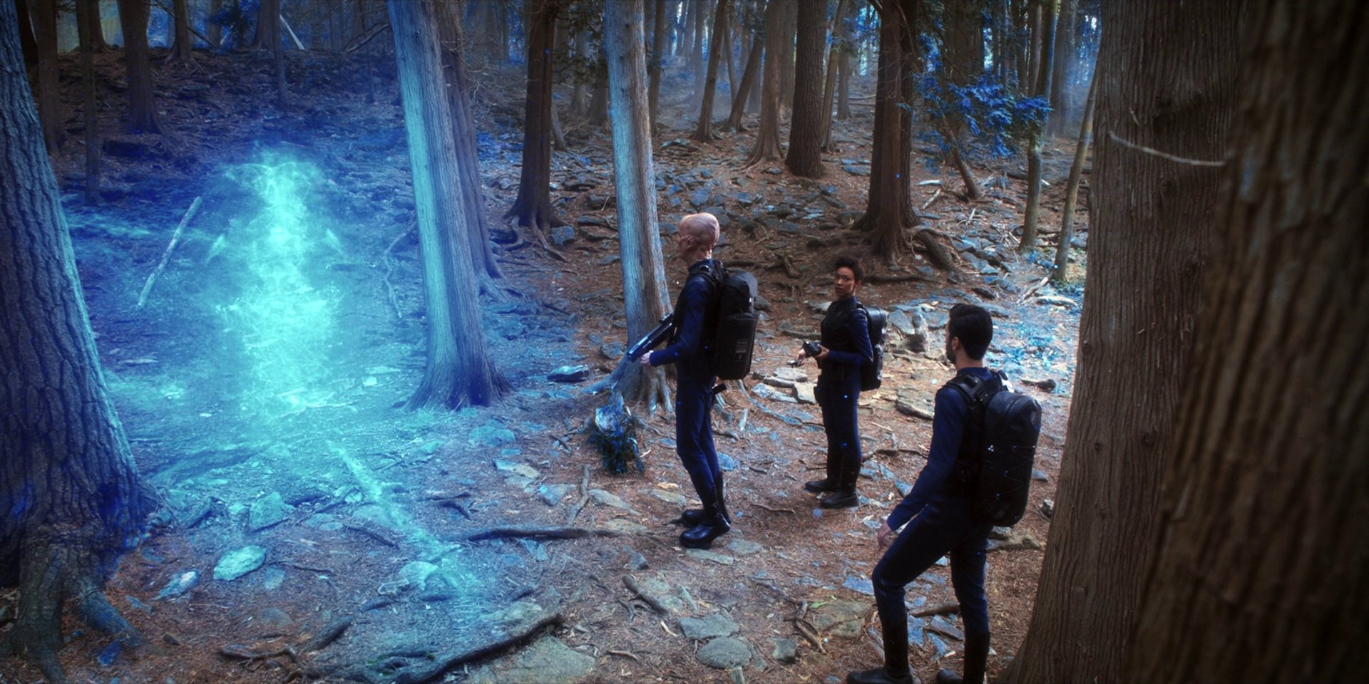extant_StarTrekDiscovery_1x08-SiVisPacemParaBellum_1006.jpg
