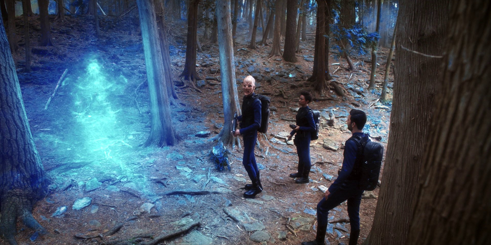 extant_StarTrekDiscovery_1x08-SiVisPacemParaBellum_1009.jpg