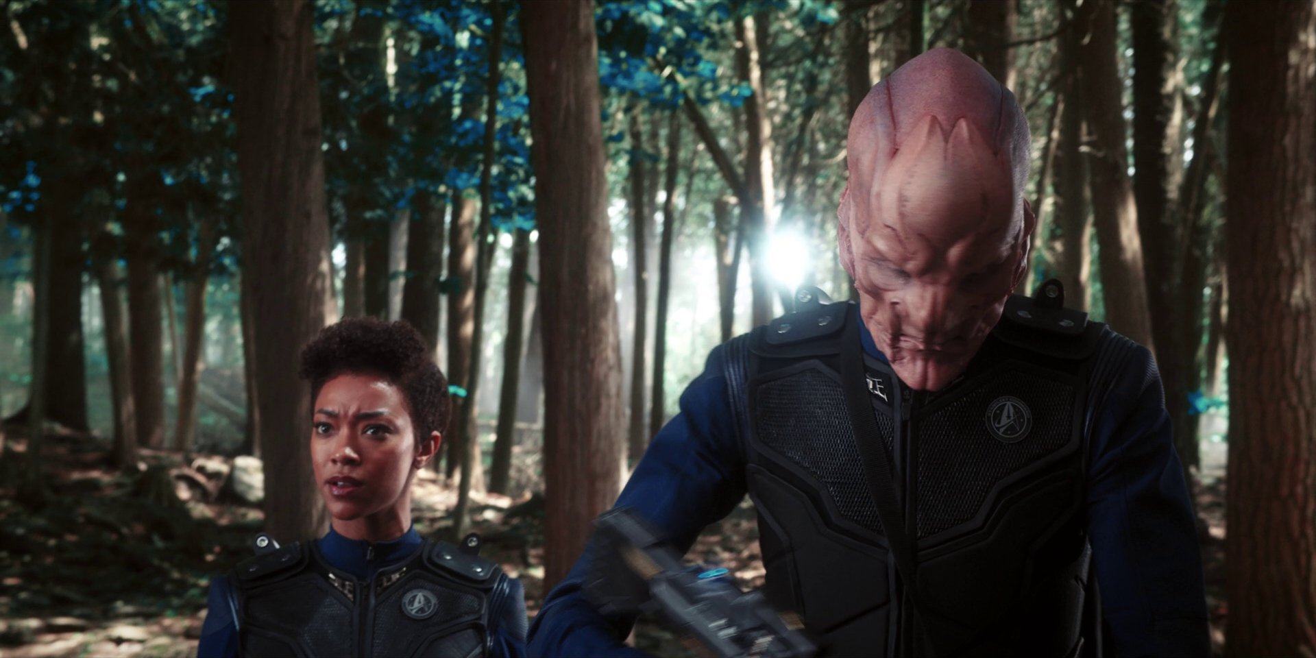extant_StarTrekDiscovery_1x08-SiVisPacemParaBellum_1015.jpg