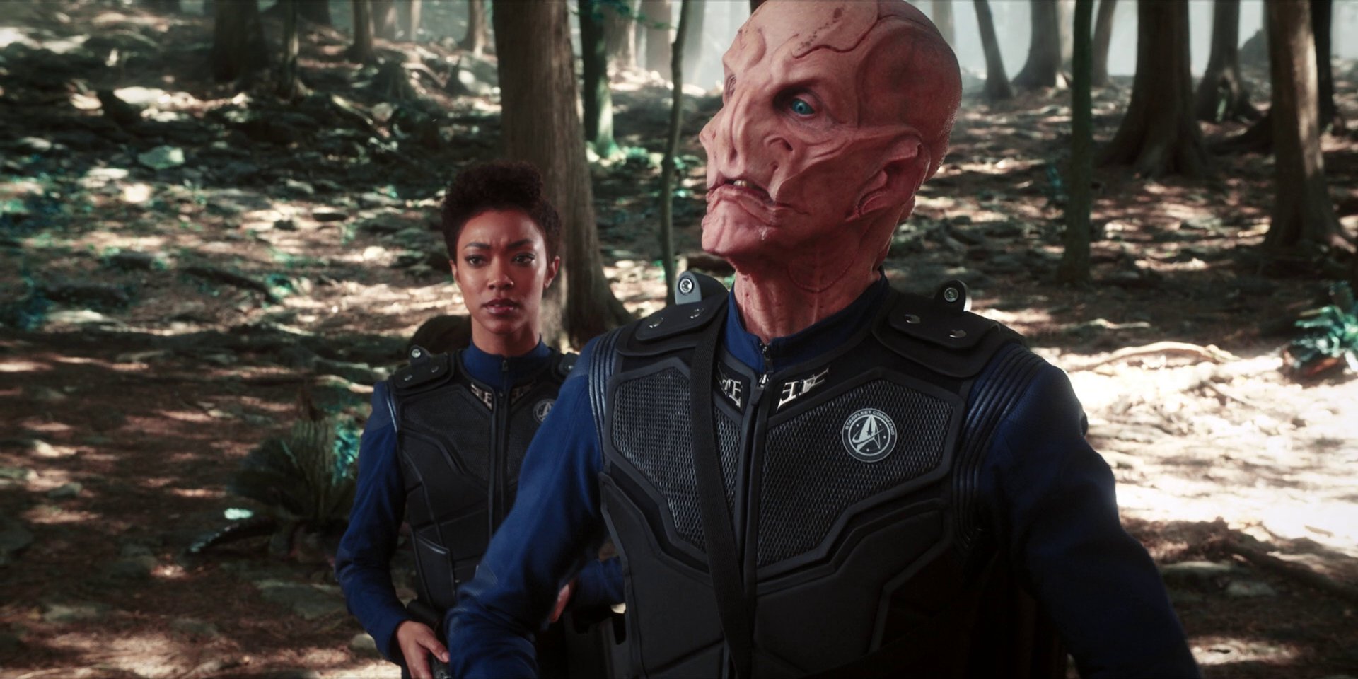 extant_StarTrekDiscovery_1x08-SiVisPacemParaBellum_1022.jpg