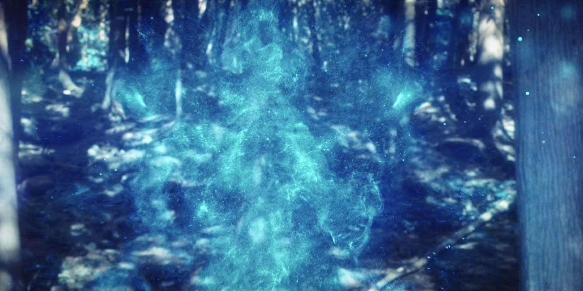 extant_StarTrekDiscovery_1x08-SiVisPacemParaBellum_1025.jpg