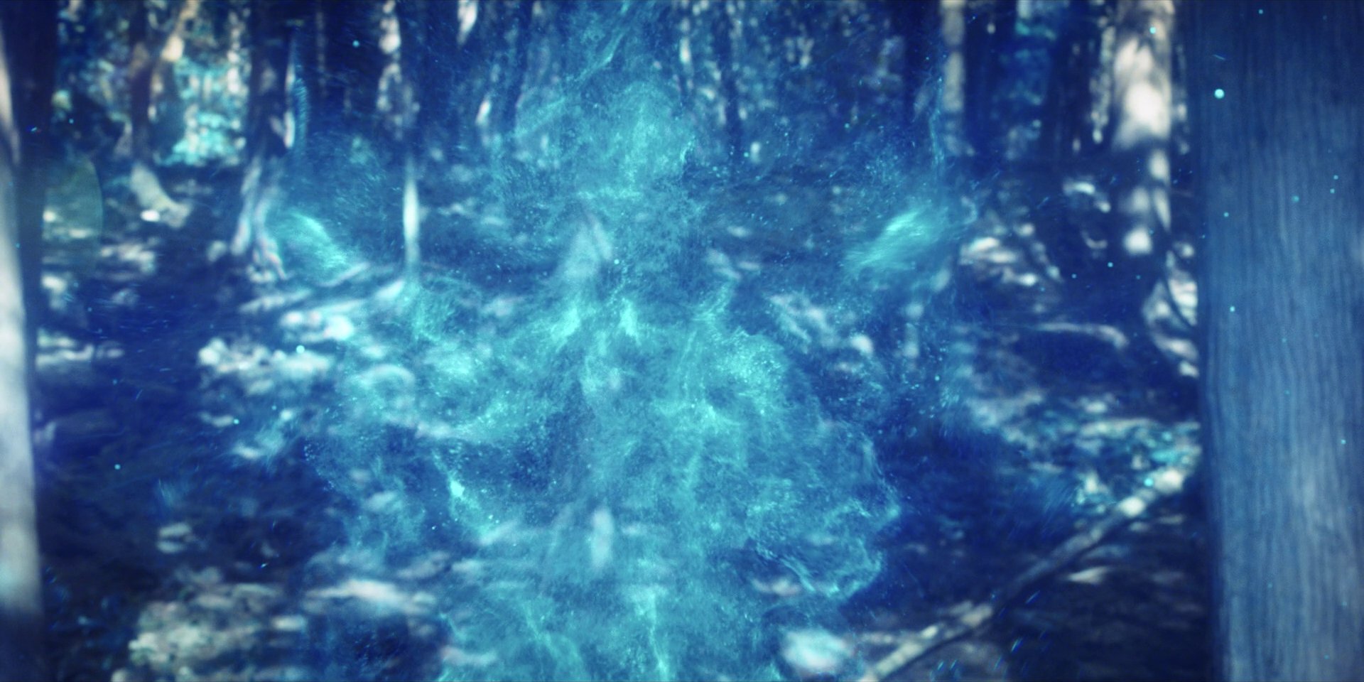 extant_StarTrekDiscovery_1x08-SiVisPacemParaBellum_1026.jpg