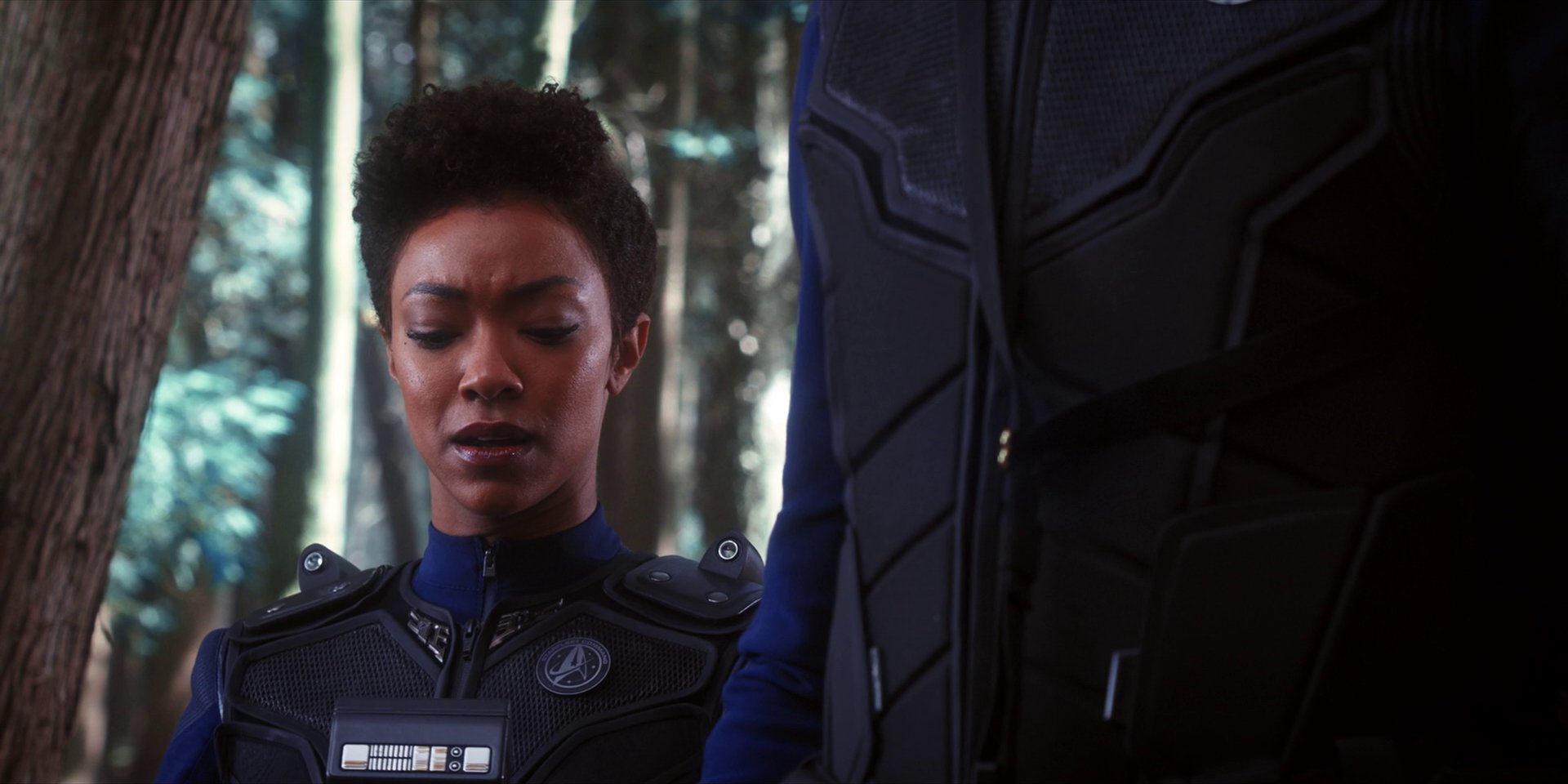 extant_StarTrekDiscovery_1x08-SiVisPacemParaBellum_1036.jpg