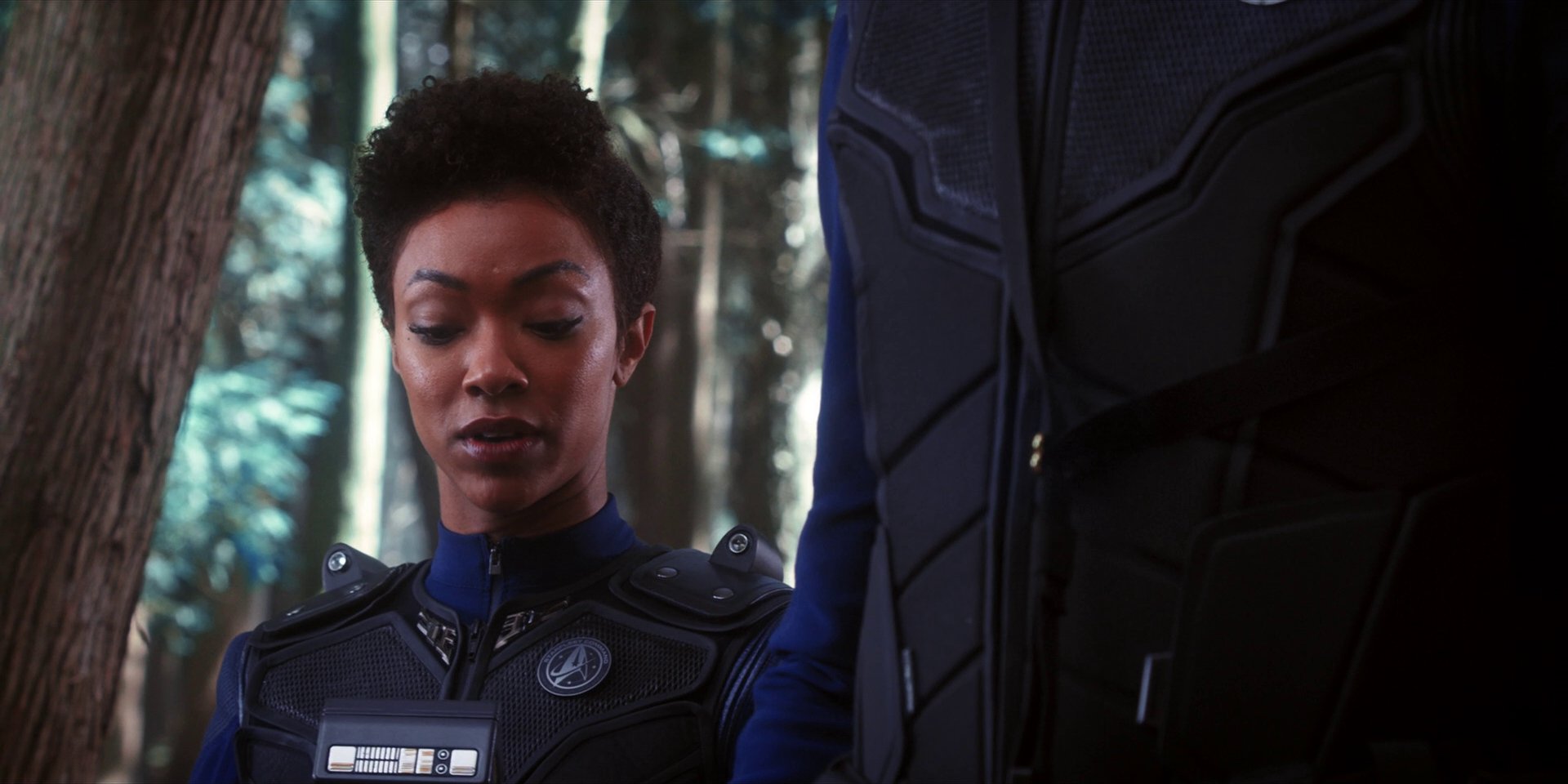 extant_StarTrekDiscovery_1x08-SiVisPacemParaBellum_1037.jpg