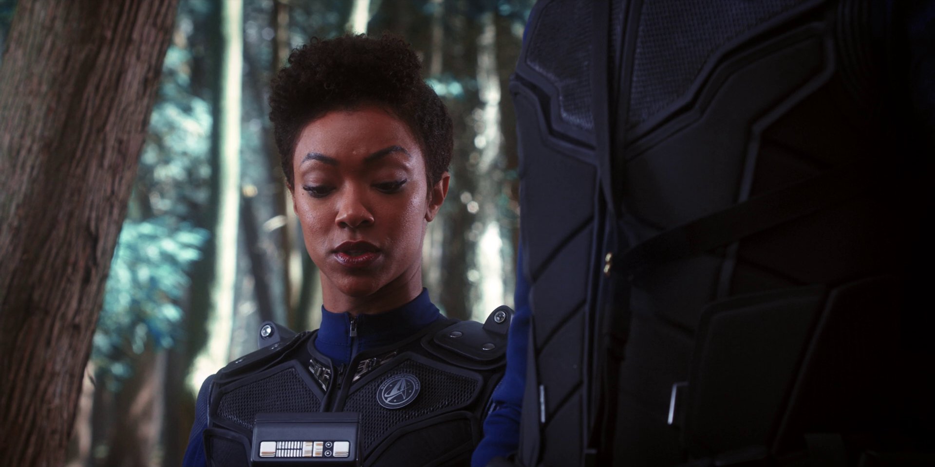 extant_StarTrekDiscovery_1x08-SiVisPacemParaBellum_1039.jpg