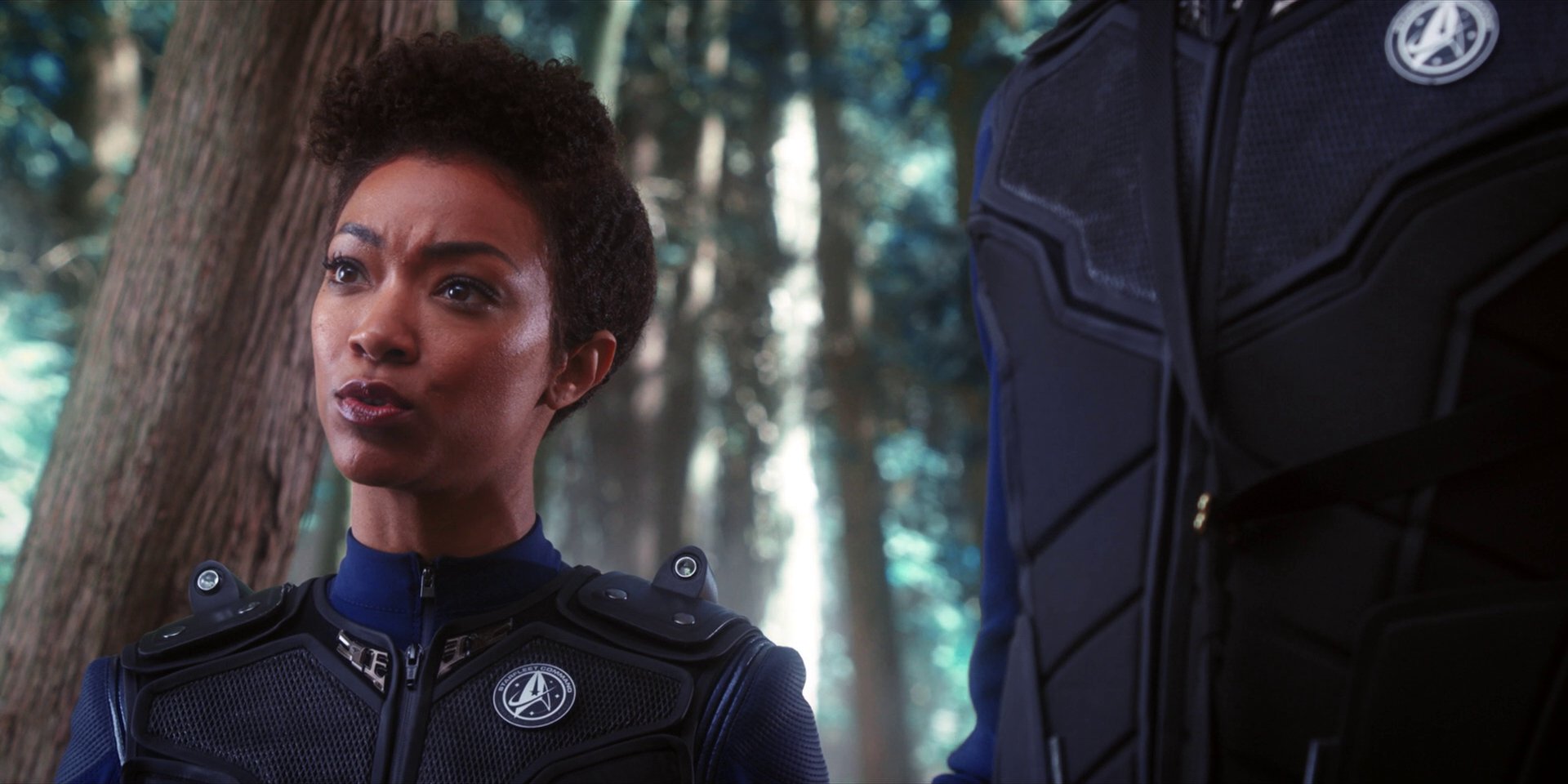 extant_StarTrekDiscovery_1x08-SiVisPacemParaBellum_1045.jpg