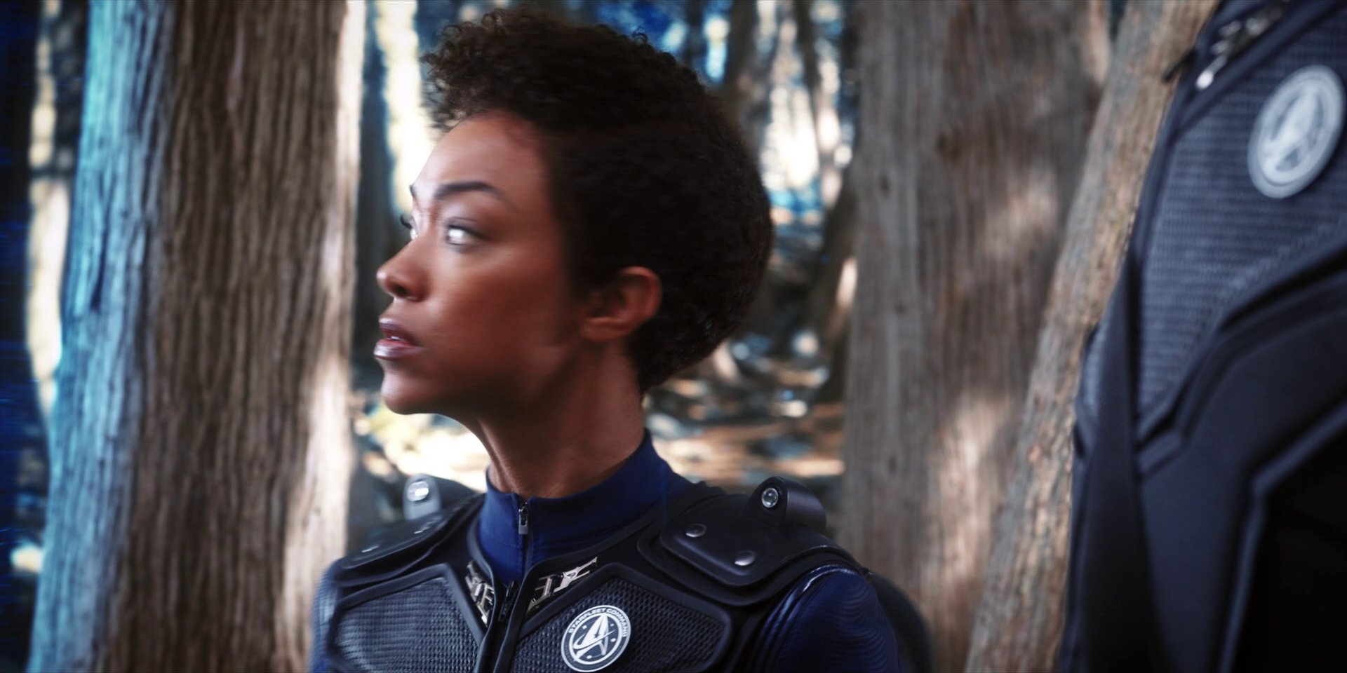 extant_StarTrekDiscovery_1x08-SiVisPacemParaBellum_1067.jpg