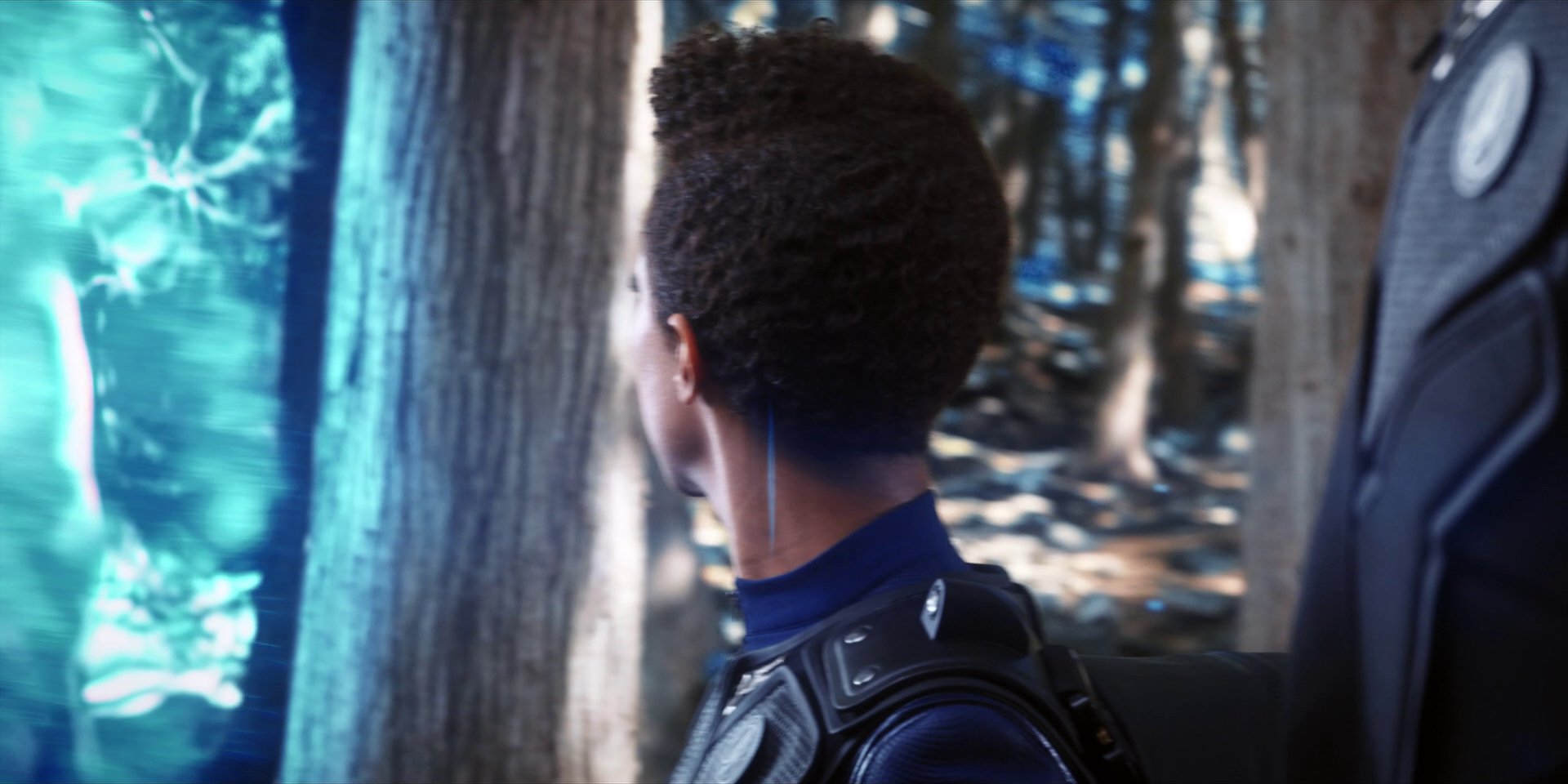extant_StarTrekDiscovery_1x08-SiVisPacemParaBellum_1068.jpg