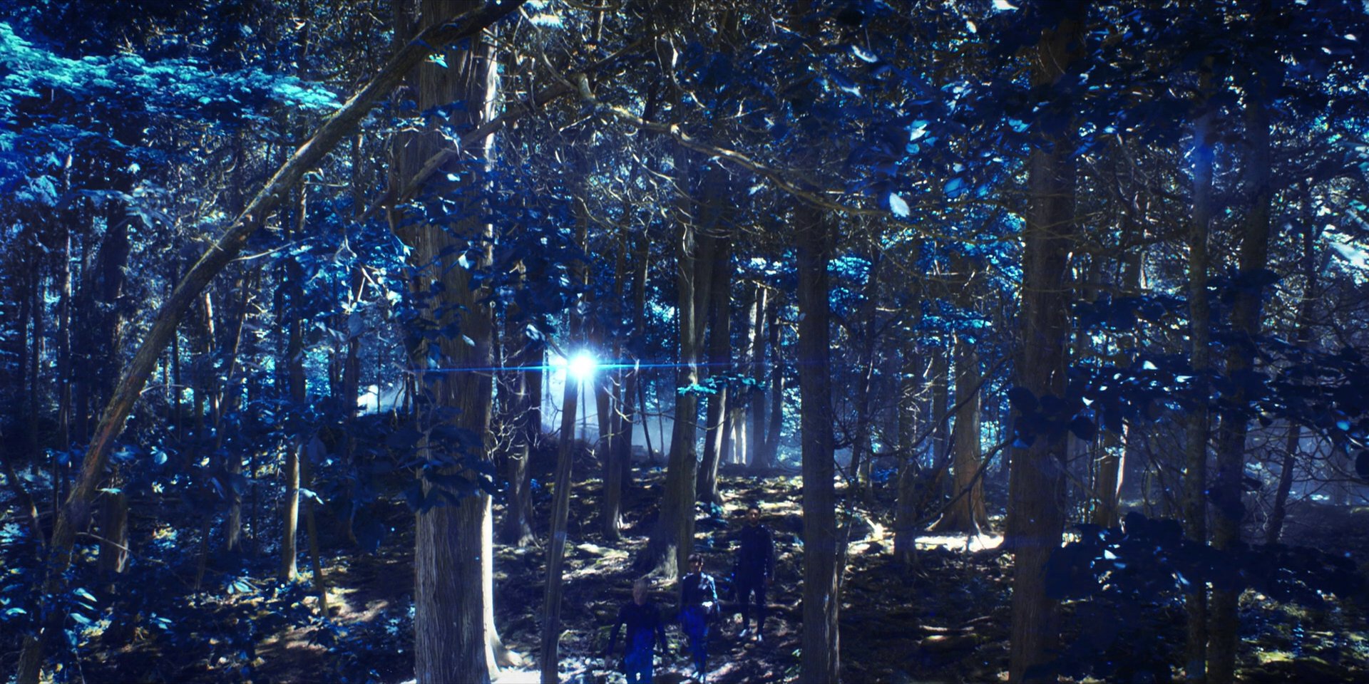 extant_StarTrekDiscovery_1x08-SiVisPacemParaBellum_1227.jpg