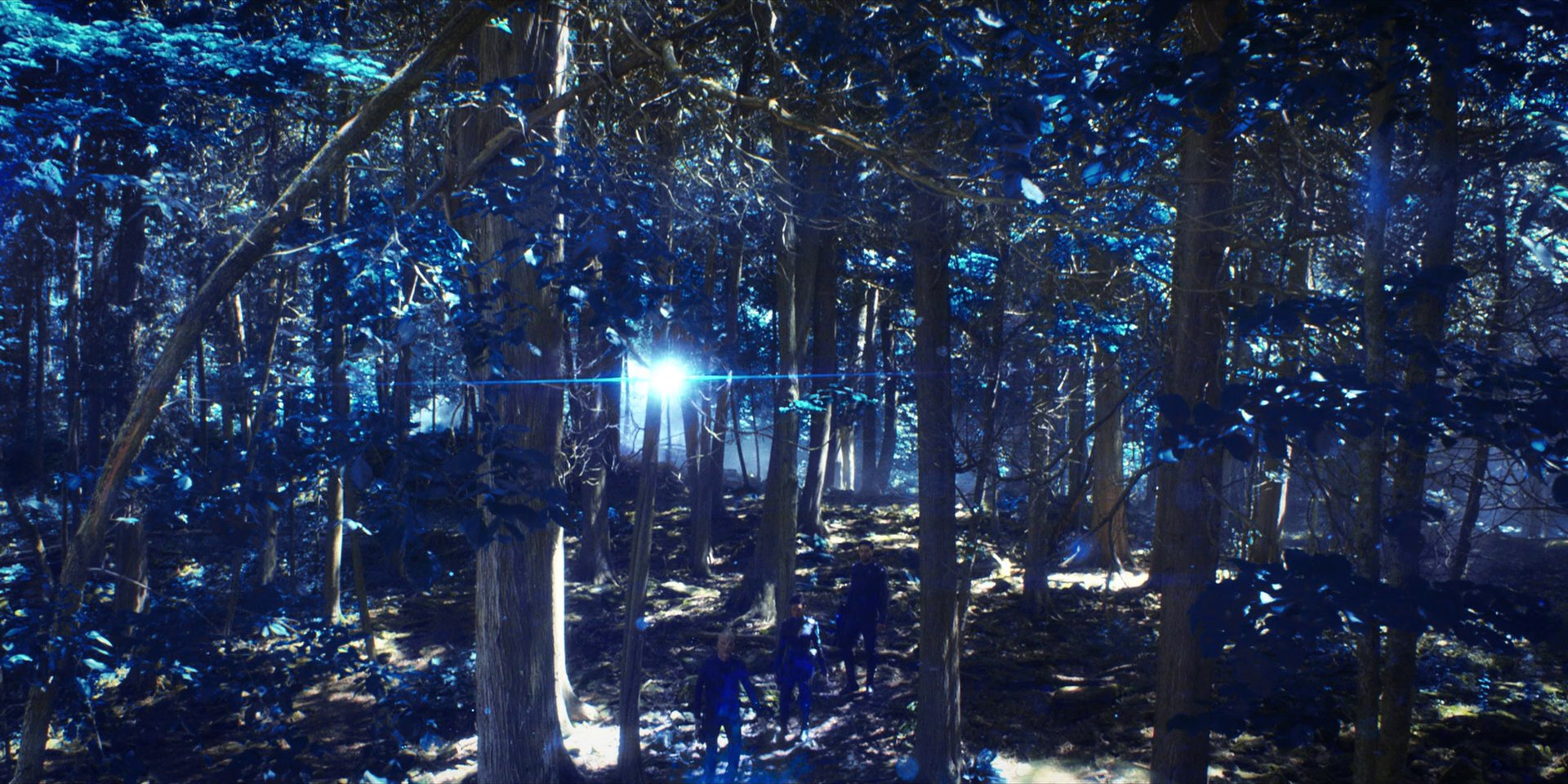 extant_StarTrekDiscovery_1x08-SiVisPacemParaBellum_1228.jpg
