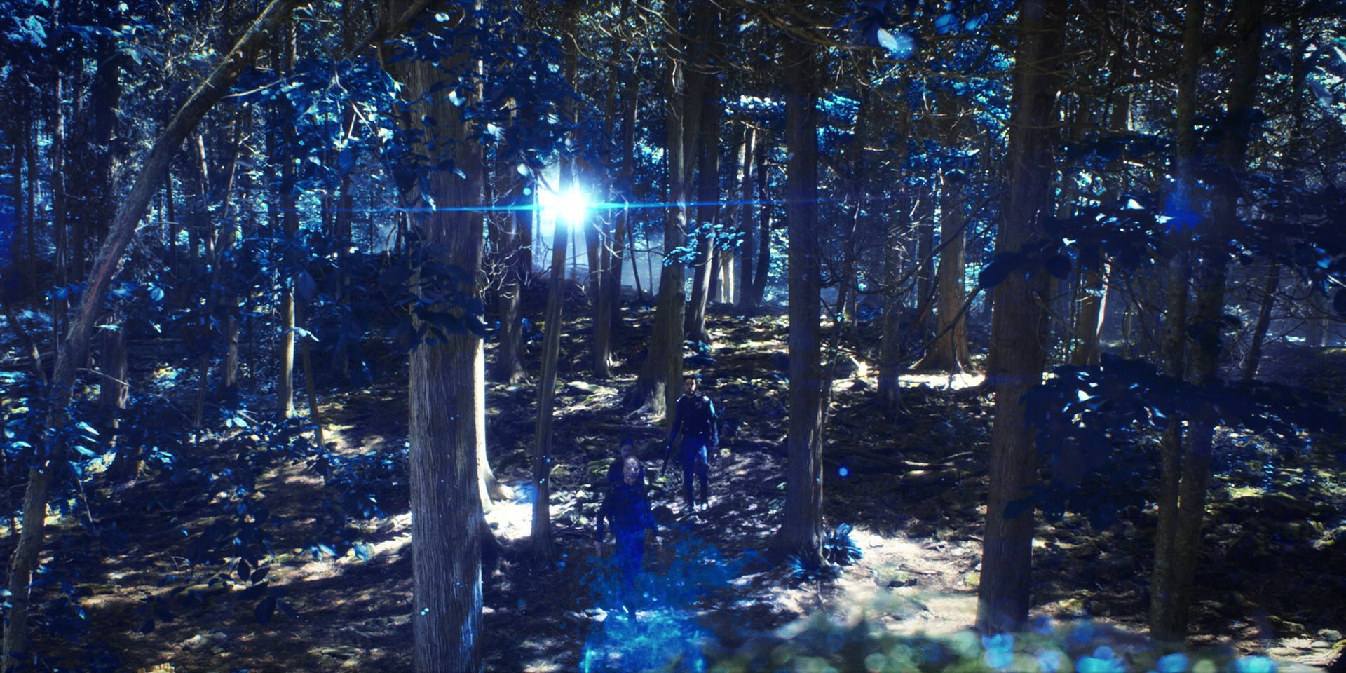 extant_StarTrekDiscovery_1x08-SiVisPacemParaBellum_1232.jpg
