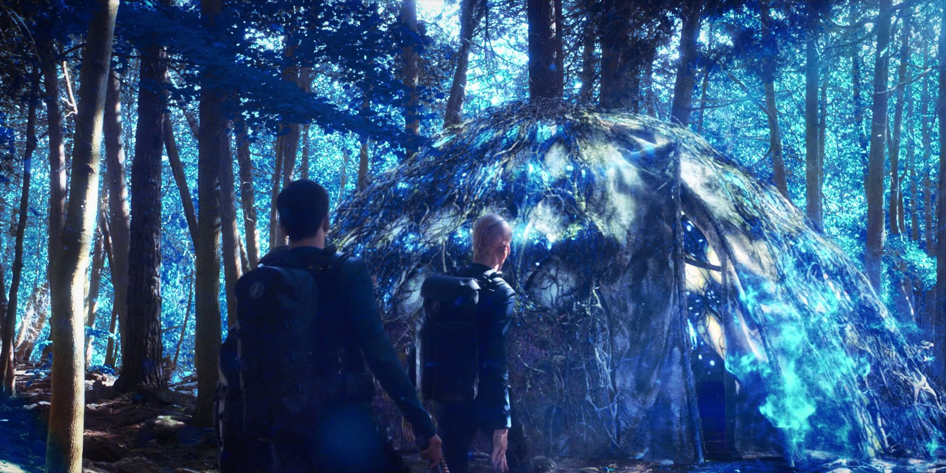 extant_StarTrekDiscovery_1x08-SiVisPacemParaBellum_1237.jpg