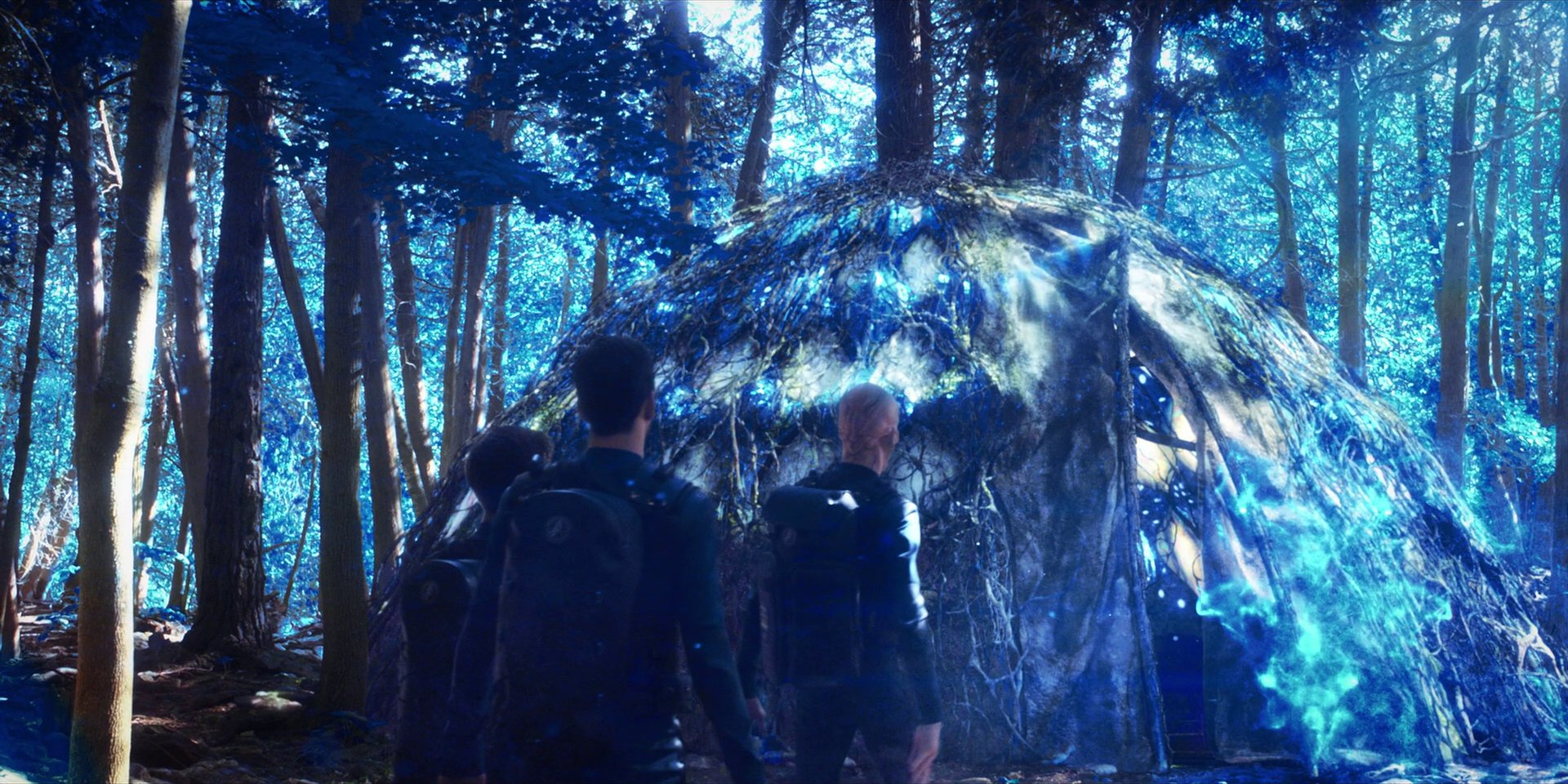 extant_StarTrekDiscovery_1x08-SiVisPacemParaBellum_1238.jpg