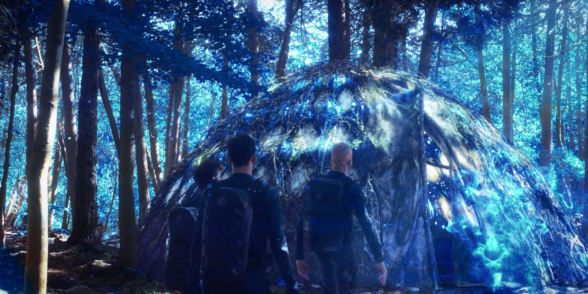 extant_StarTrekDiscovery_1x08-SiVisPacemParaBellum_1239.jpg