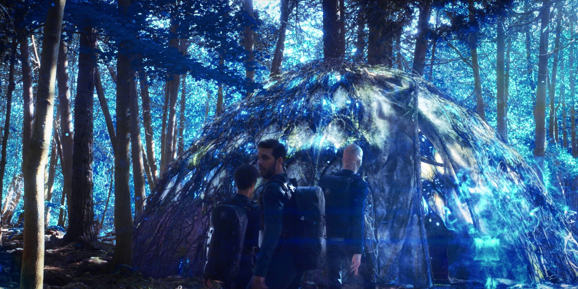 extant_StarTrekDiscovery_1x08-SiVisPacemParaBellum_1241.jpg