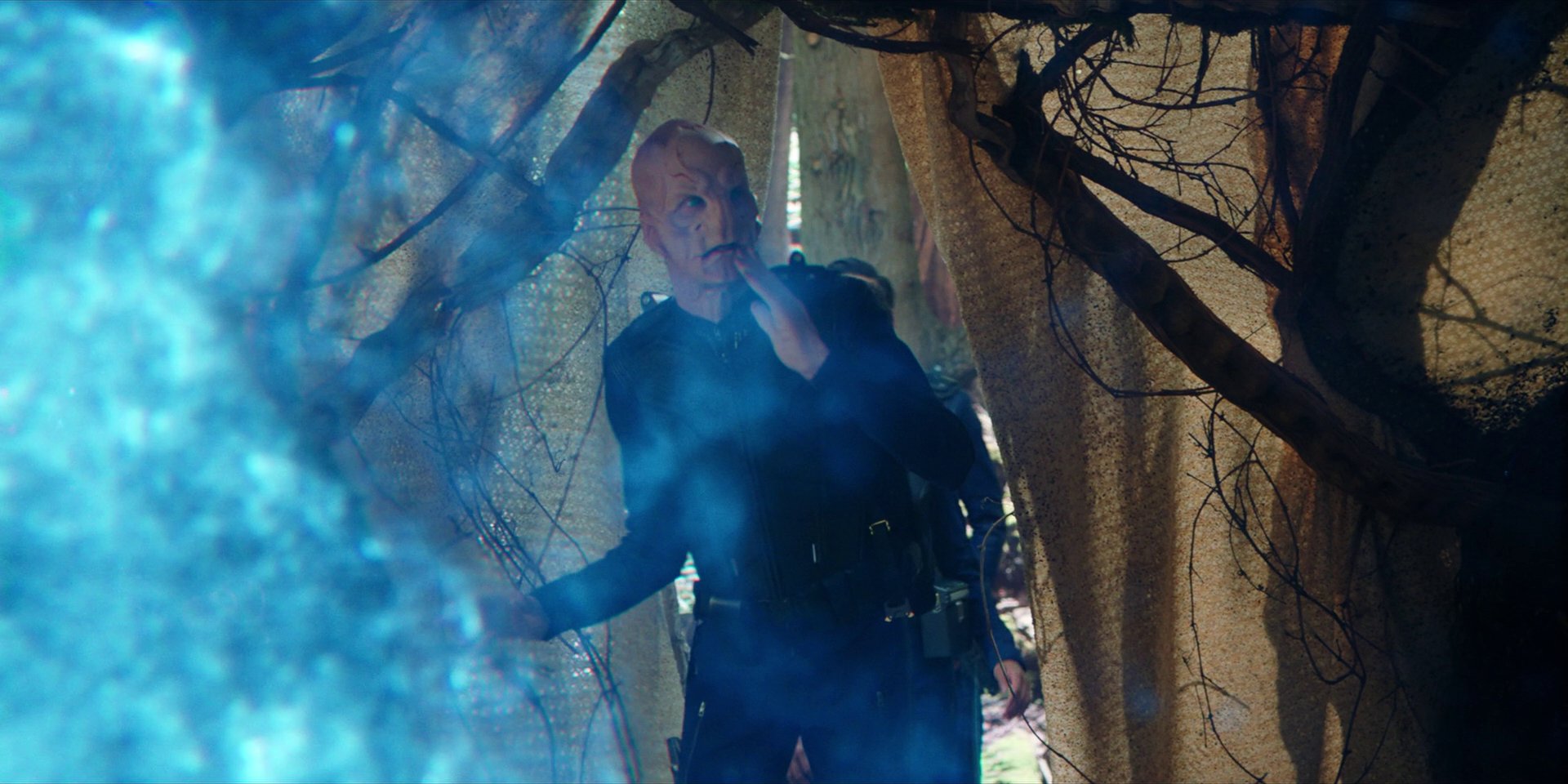 extant_StarTrekDiscovery_1x08-SiVisPacemParaBellum_1251.jpg