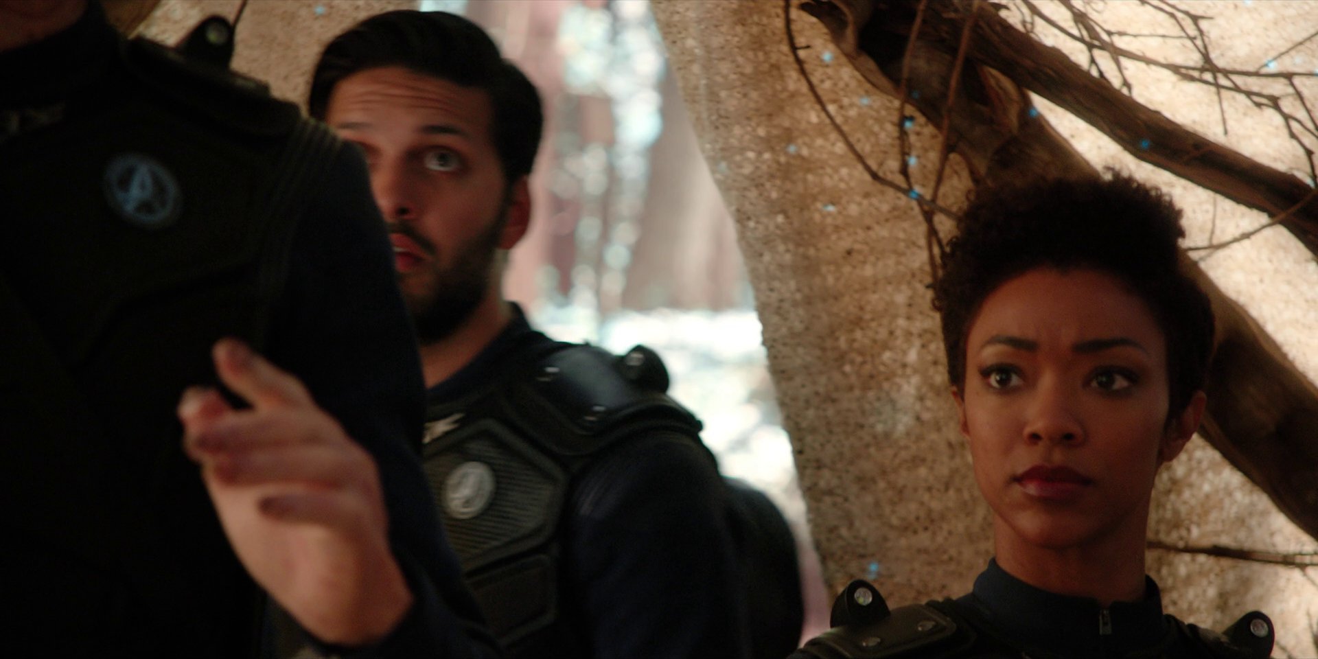 extant_StarTrekDiscovery_1x08-SiVisPacemParaBellum_1258.jpg