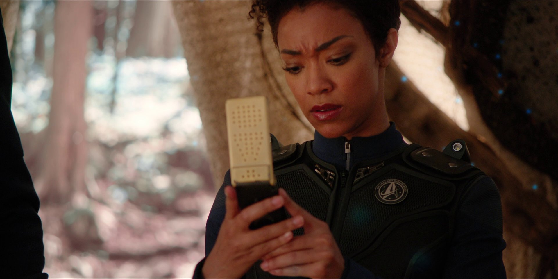 extant_StarTrekDiscovery_1x08-SiVisPacemParaBellum_1270.jpg